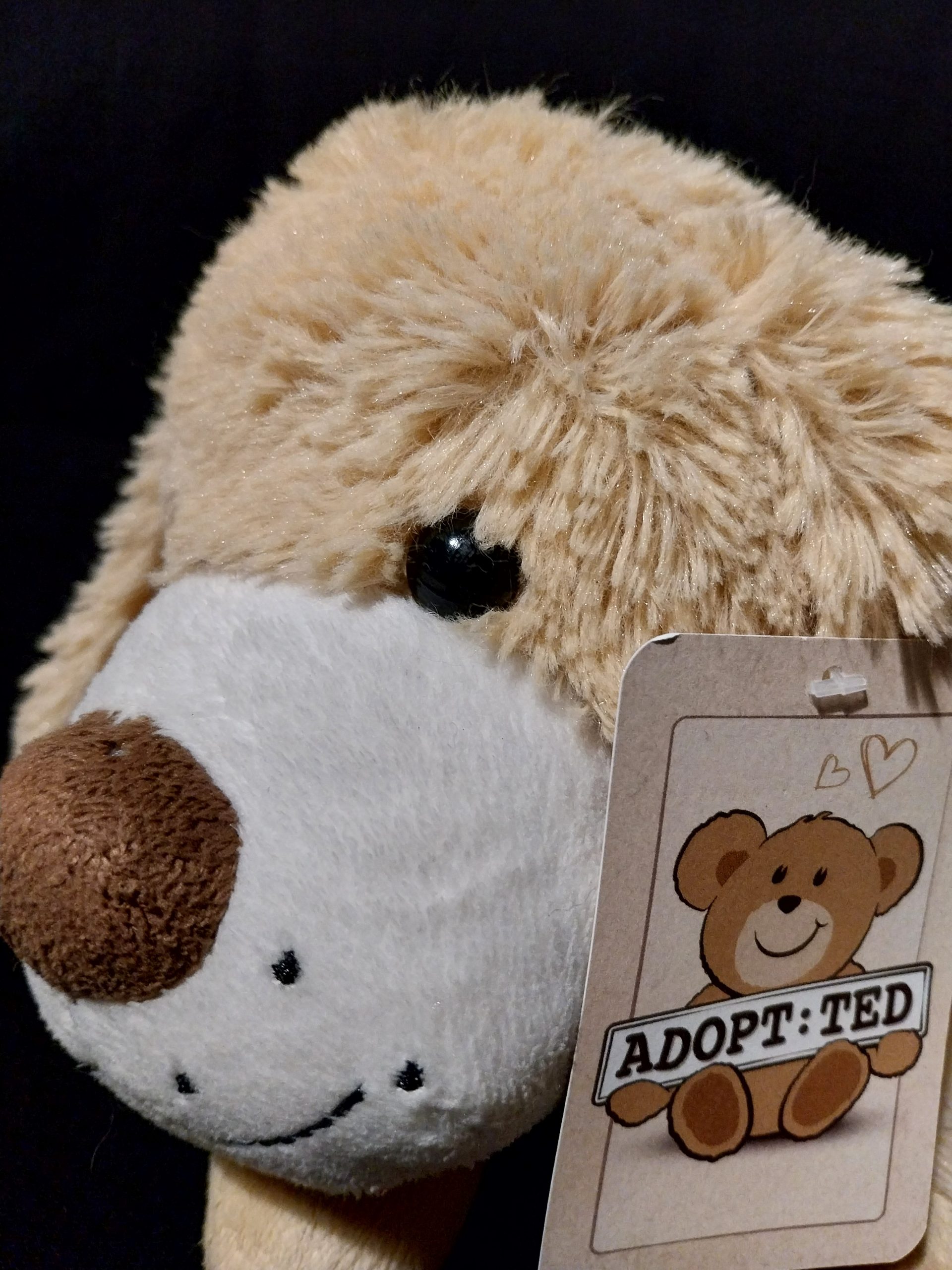 Floppety Puppy - Image 2