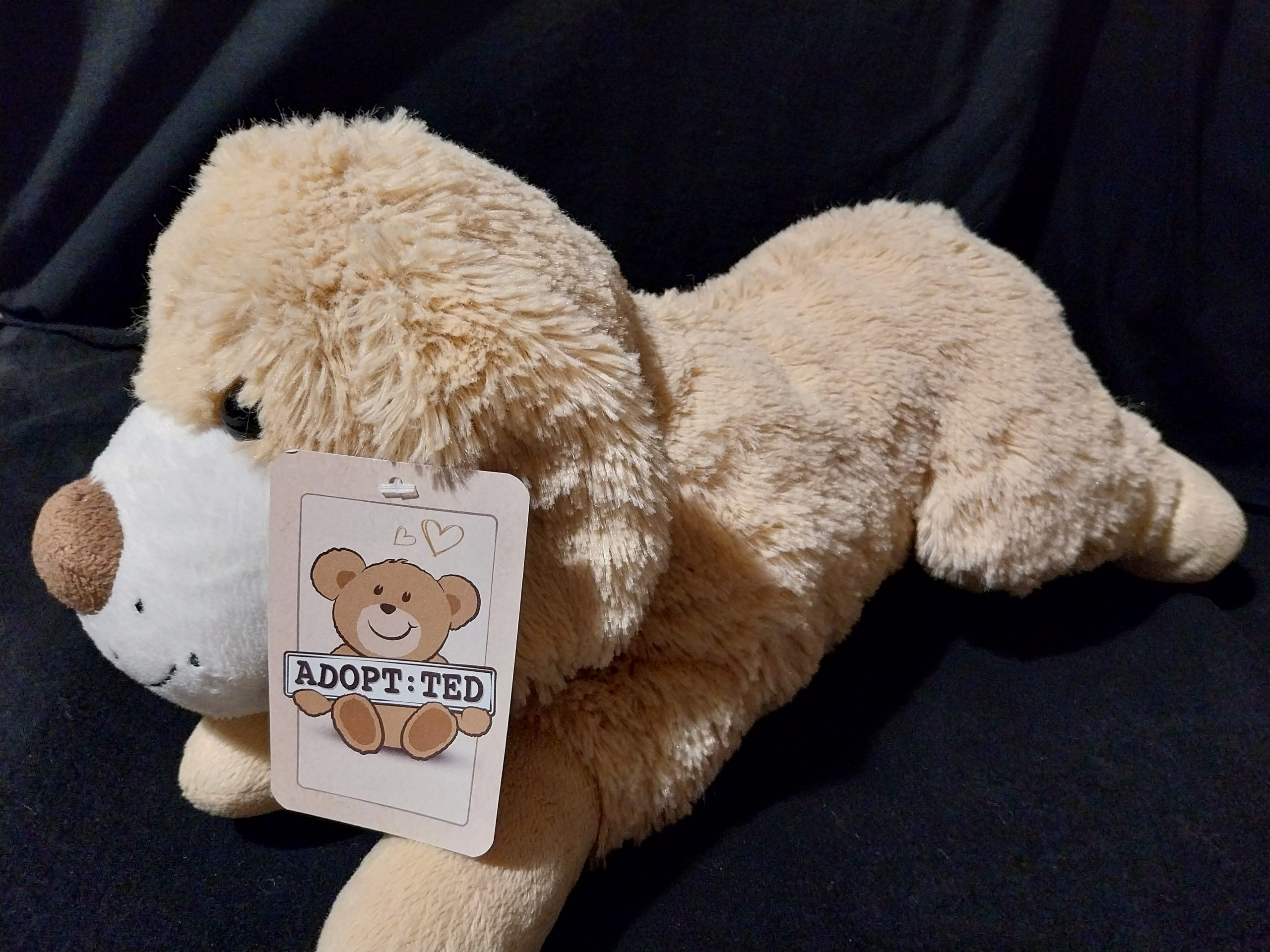 Floppety Puppy - Image 3