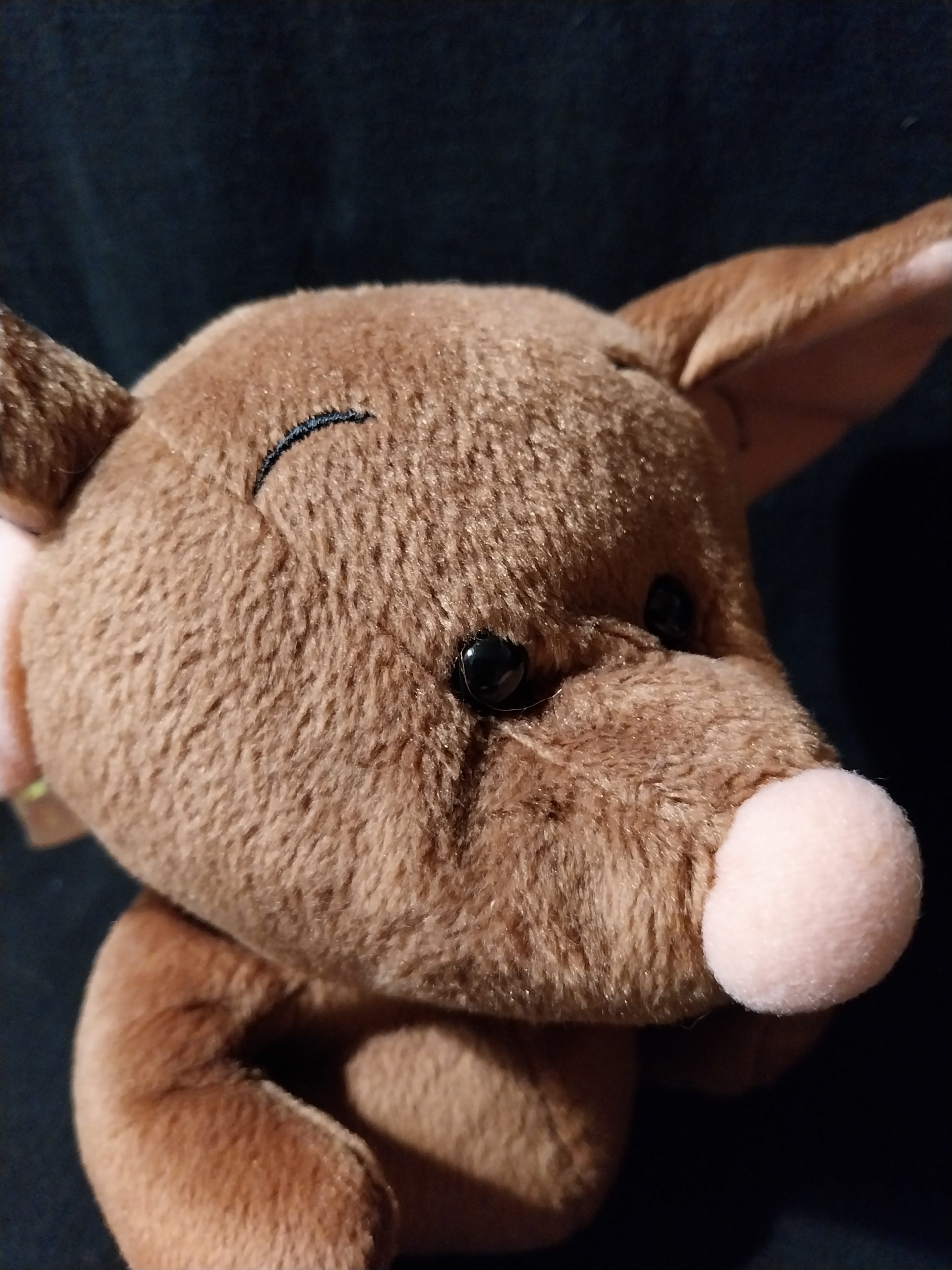 Rare Angel Mouse - Image 6