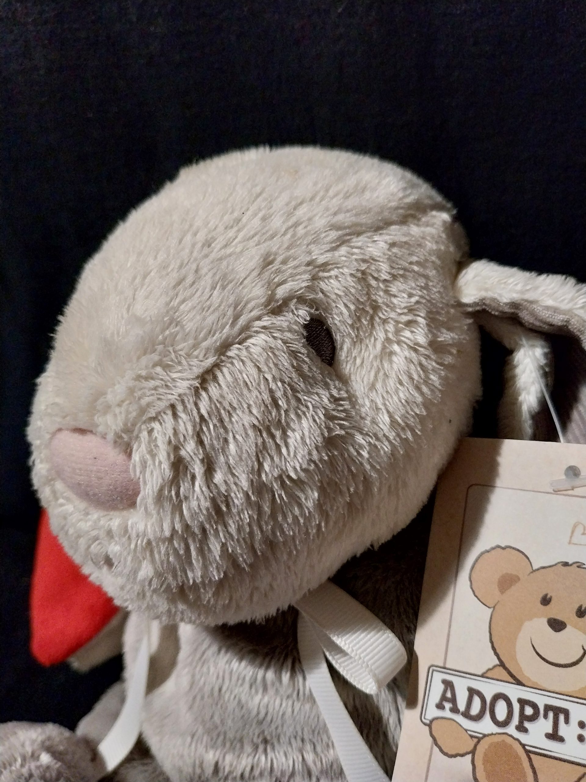 Red-Eared Bunny - Image 2