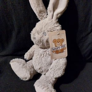 Baby's First Bunny Rabbit