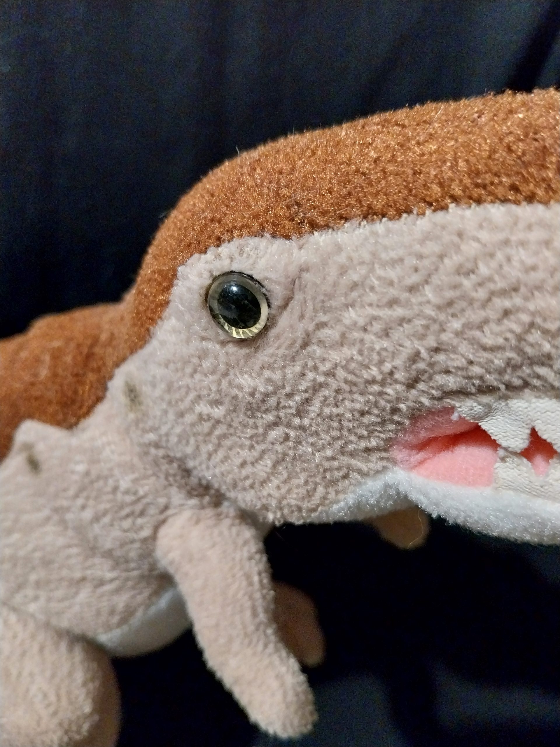 Fearsome T-Rex - Image 2