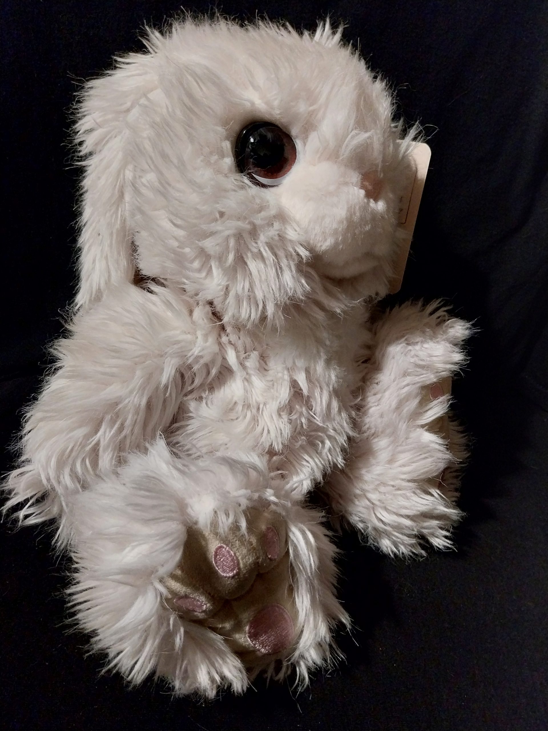 Big-Eyed Bunny - Image 3