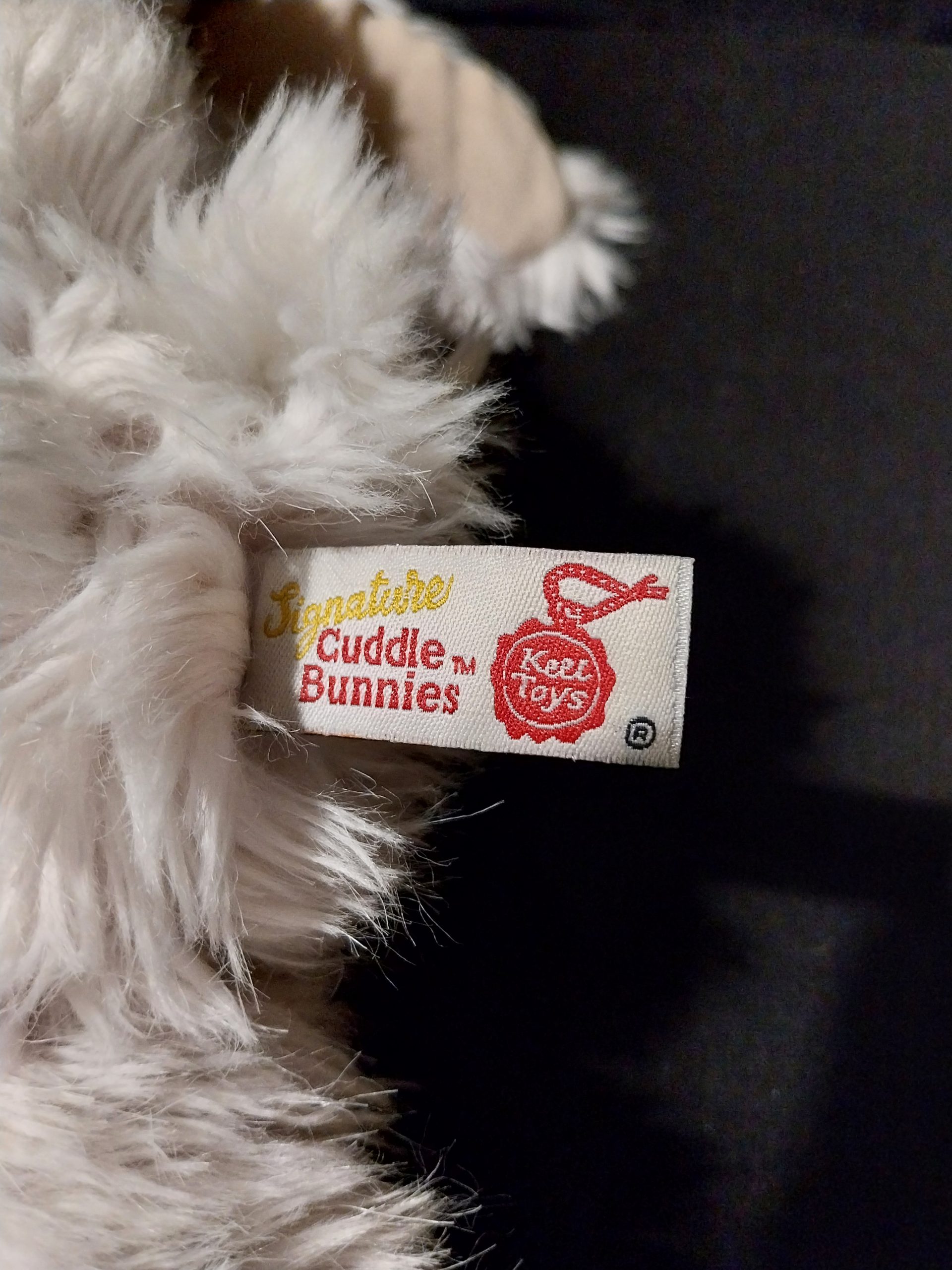 Big-Eyed Bunny - Image 6