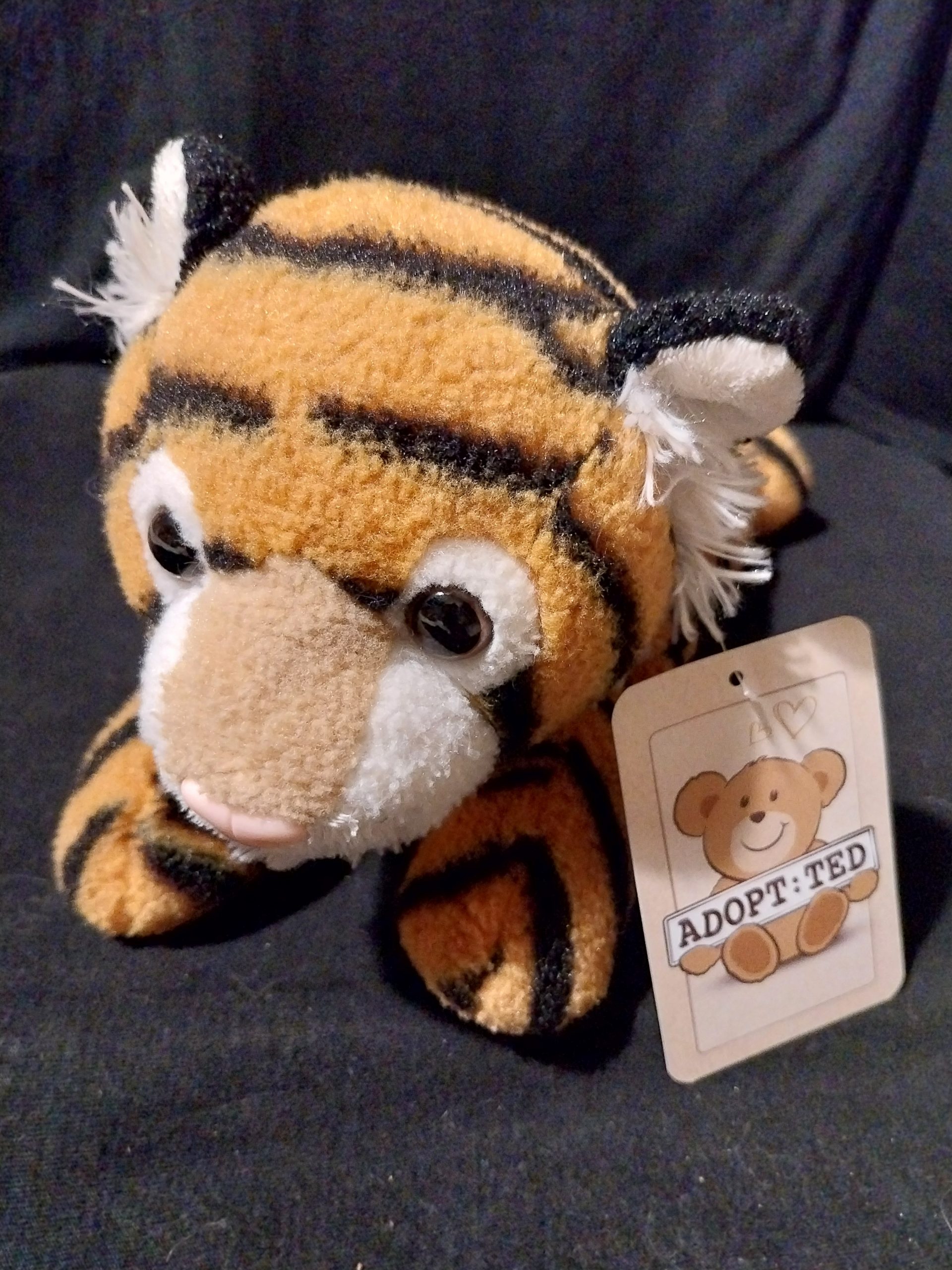 Tigger Tiger Cub
