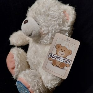 Ruffles Teddy Bear