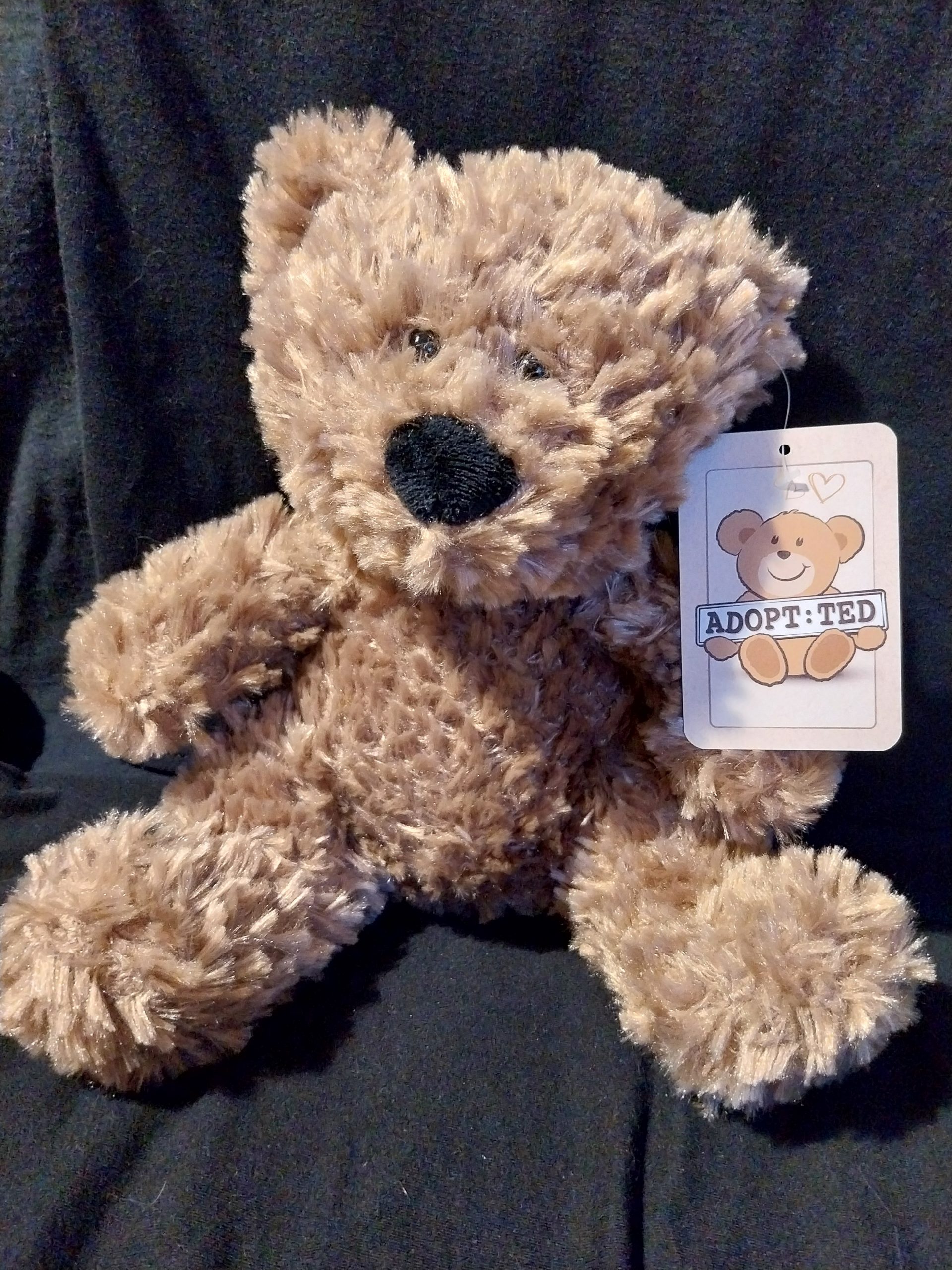Mini Feet Teddy Bear