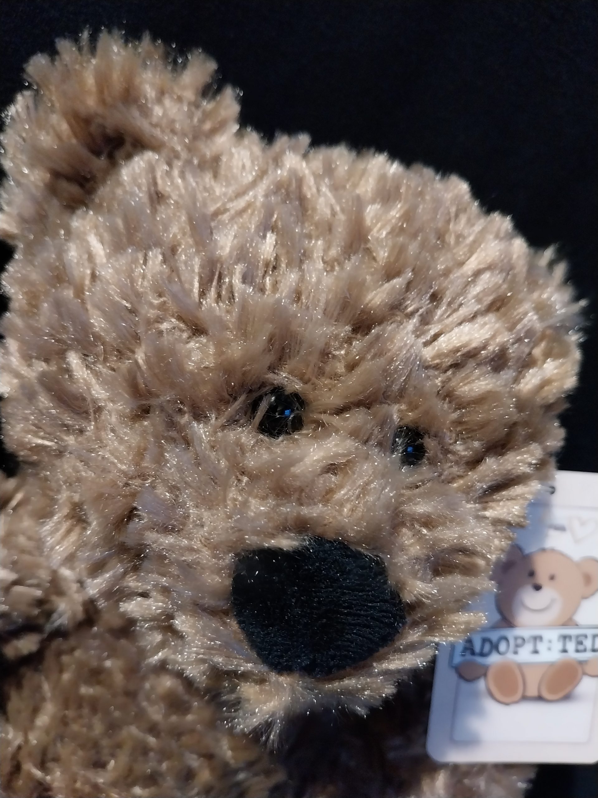 Mini Feet Teddy Bear - Image 2