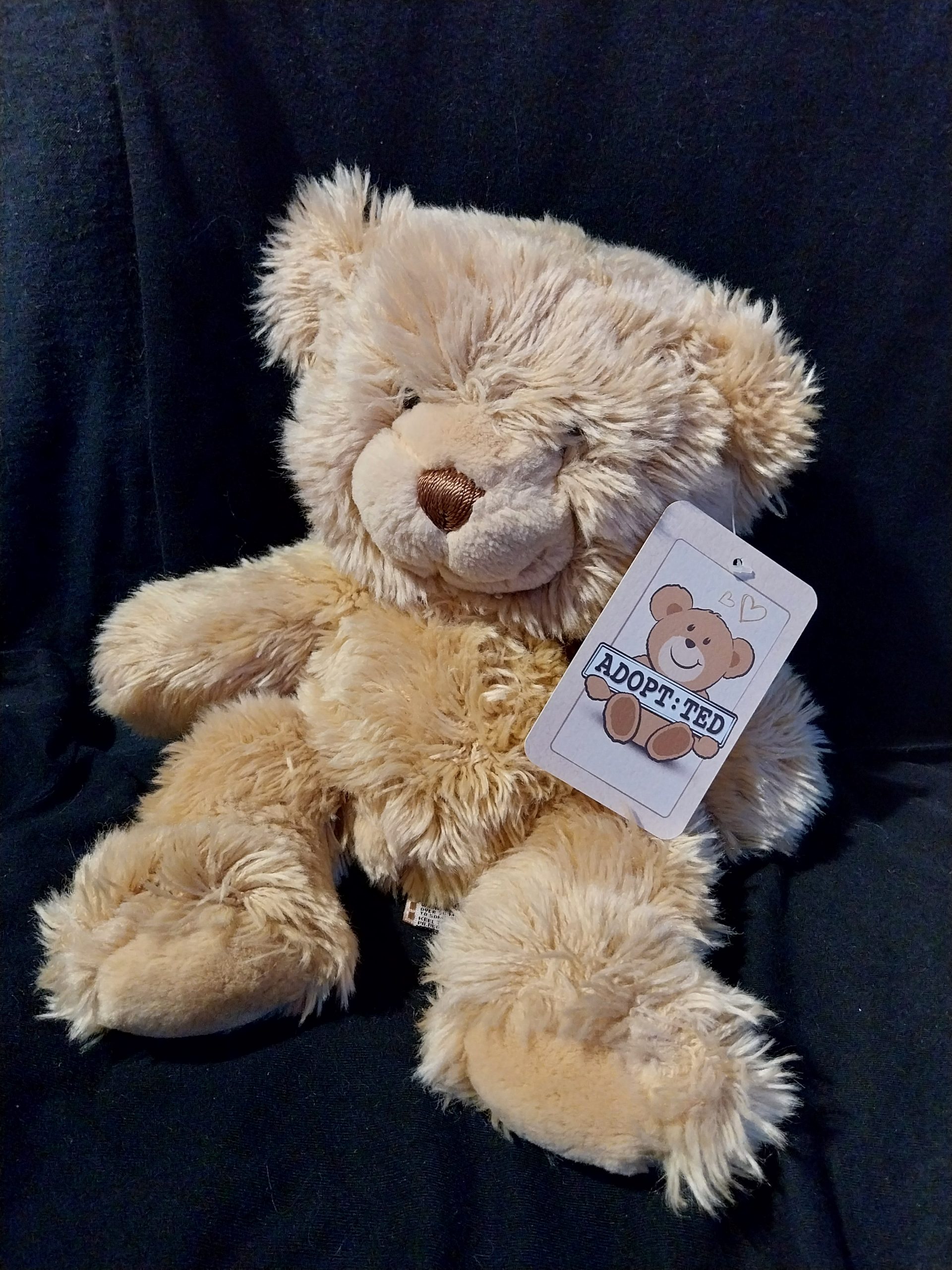 Caramel Teddy Bear