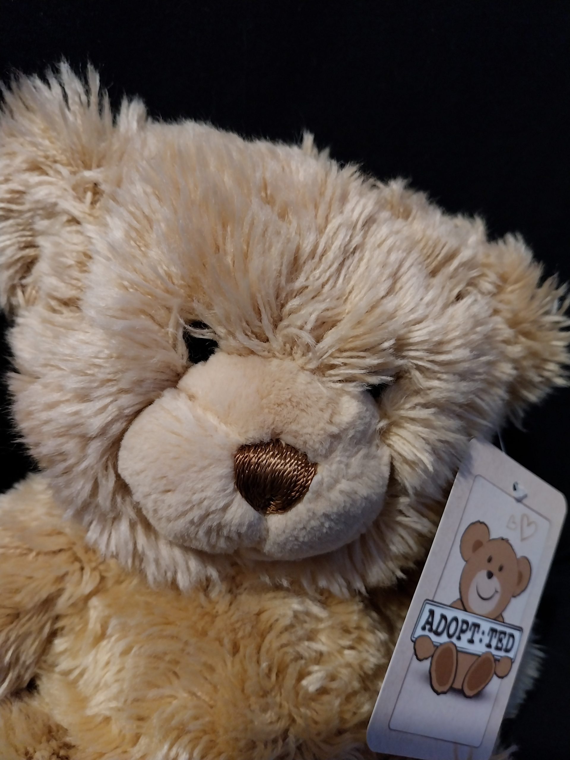 Caramel Teddy Bear - Image 2