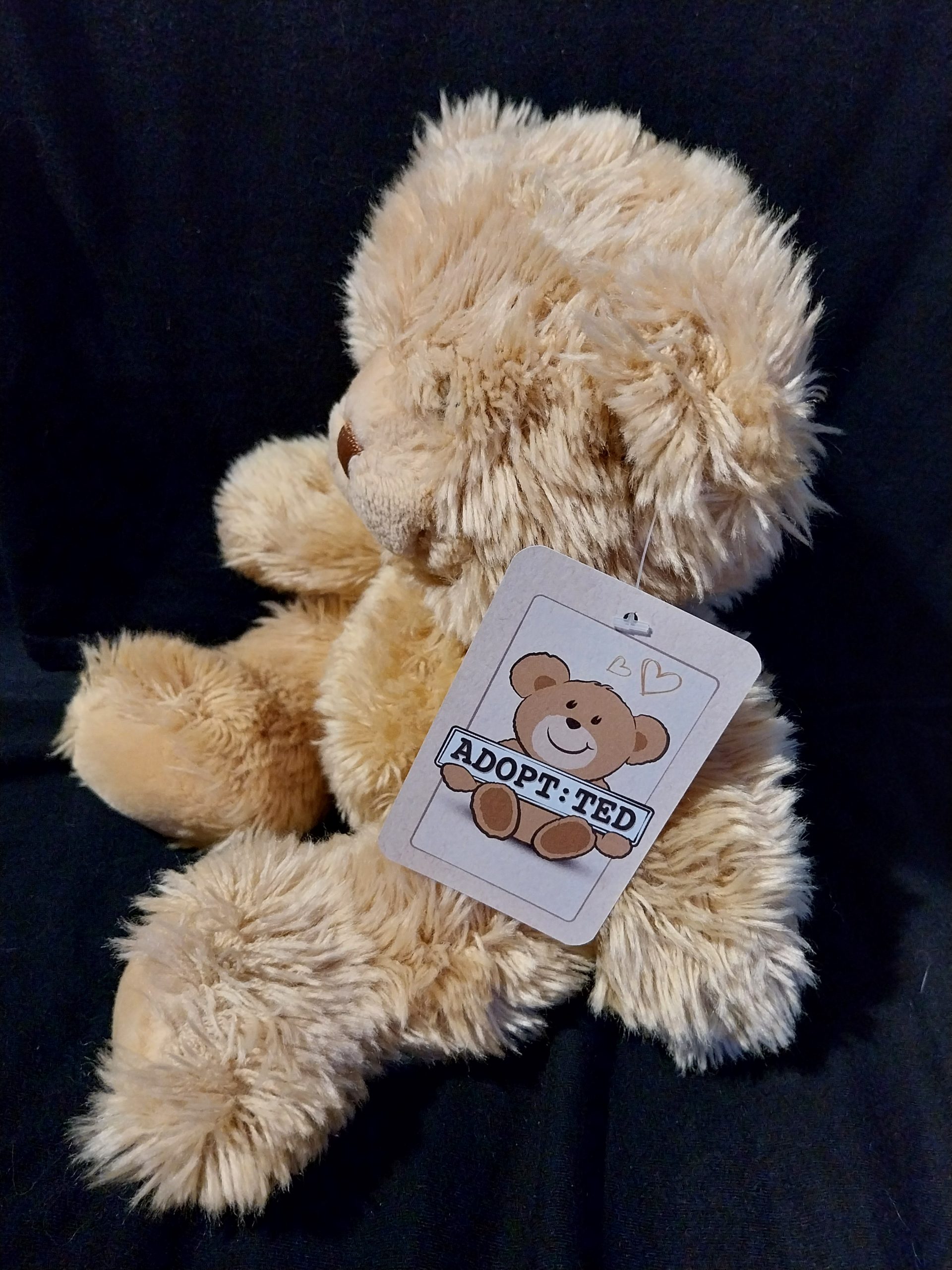 Caramel Teddy Bear - Image 3