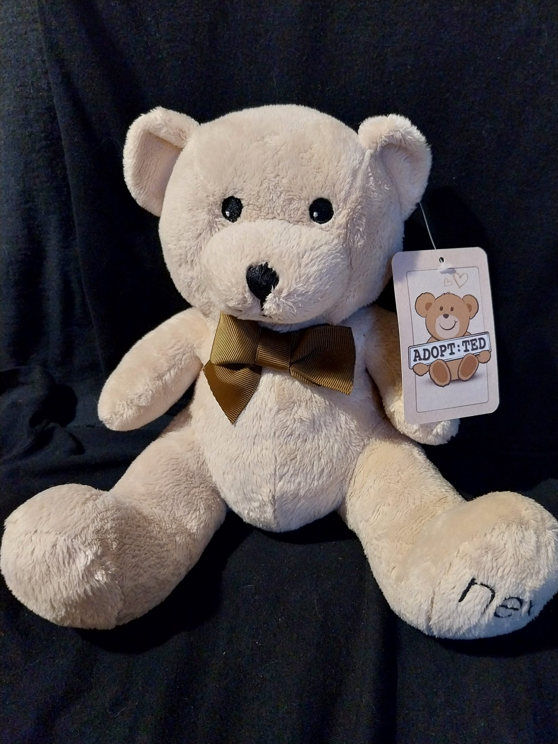 Bow Tie Teddy Bear