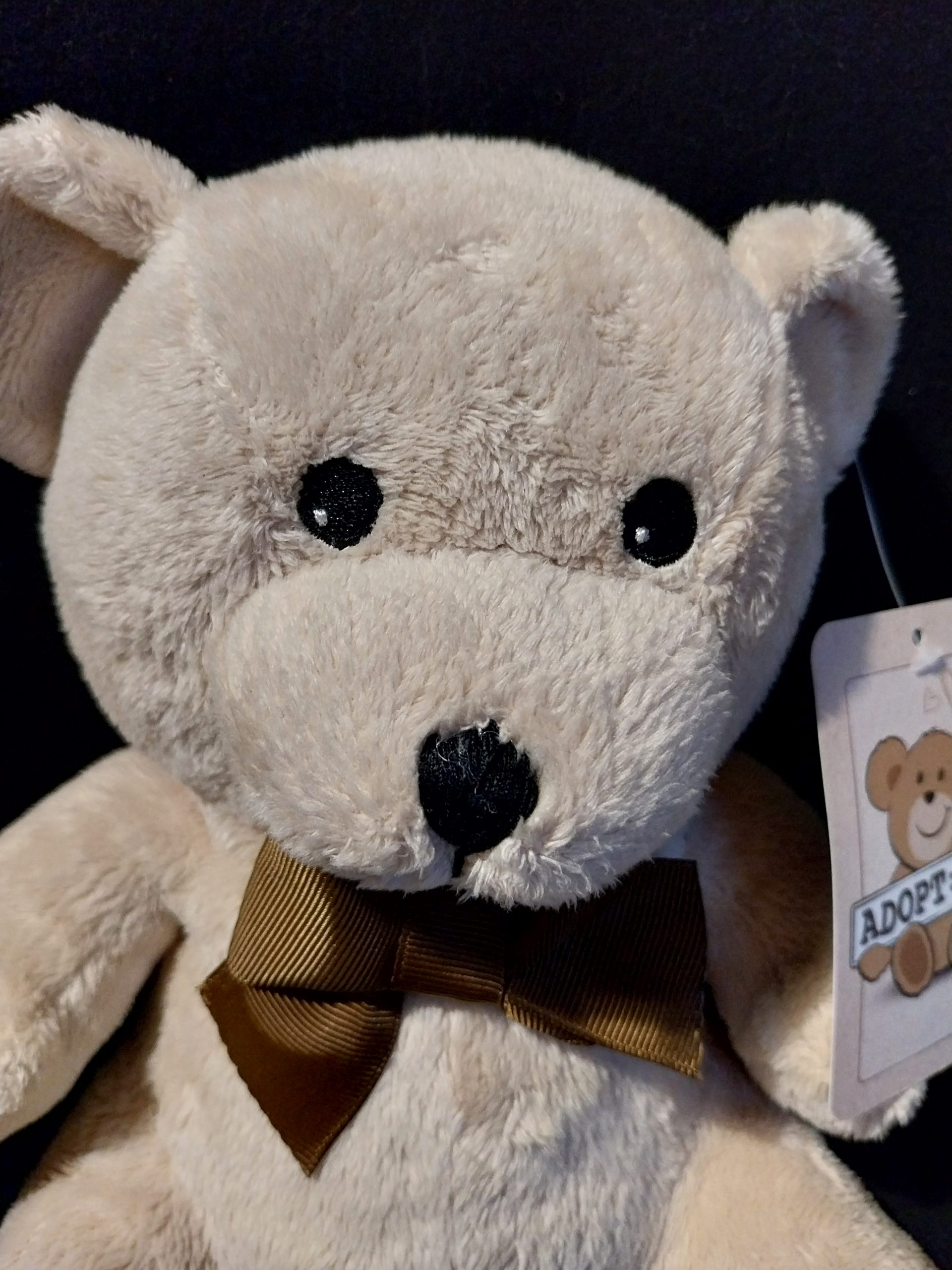 Bow Tie Teddy Bear - Image 2