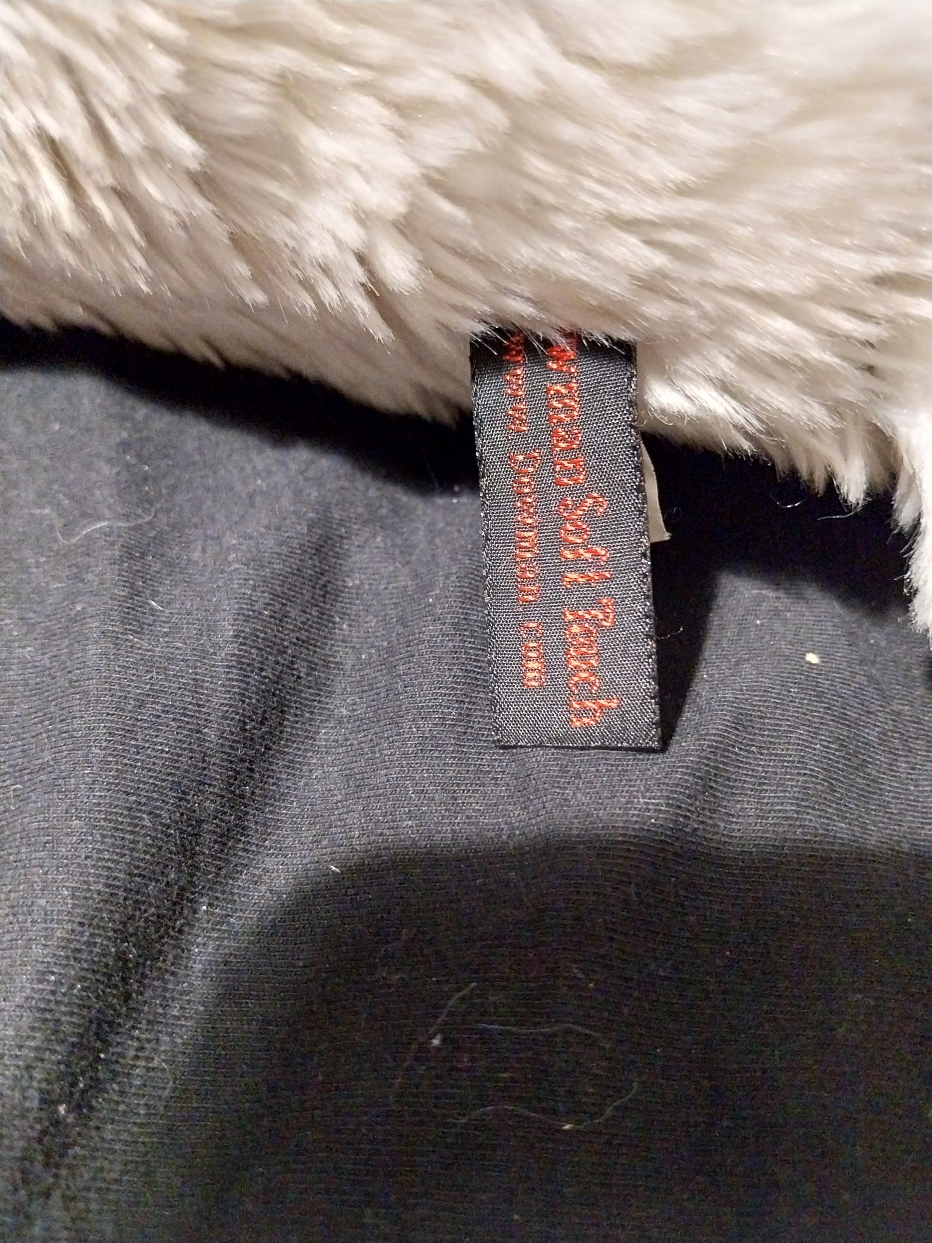 Harbour Seal - Image 6