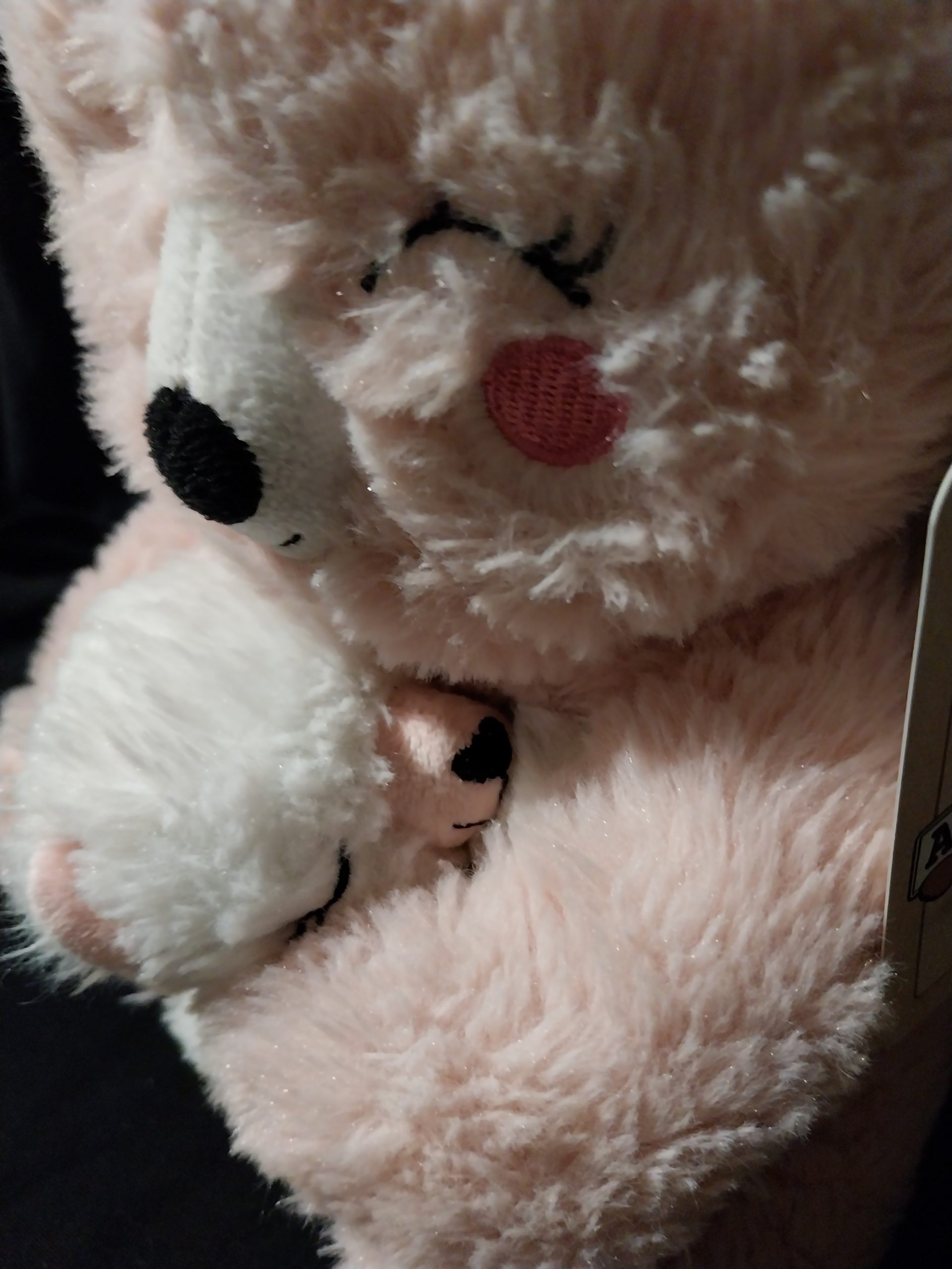 Mum & Baby Bear - Image 3