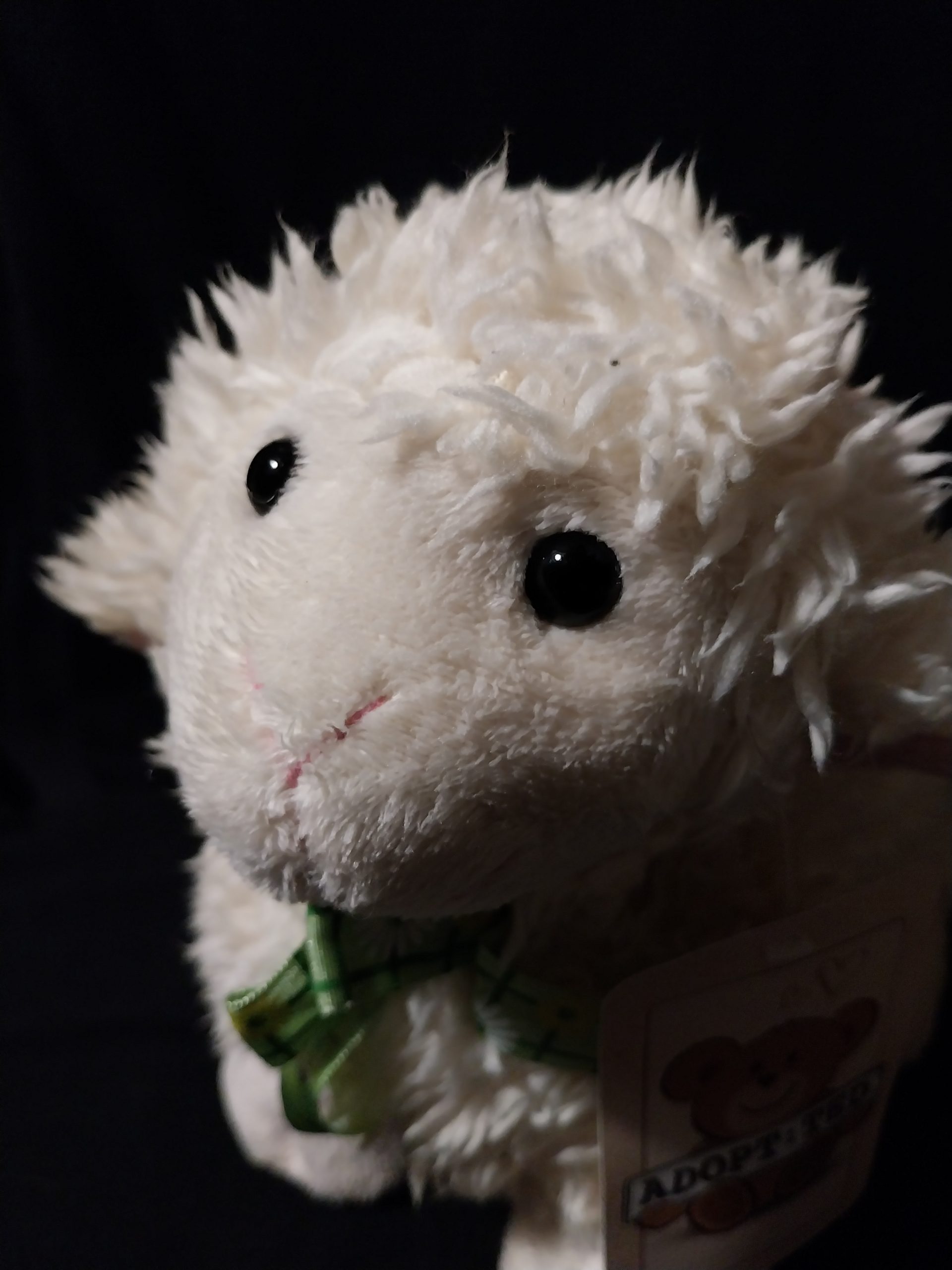 Fluffy Girl Lamb - Image 2