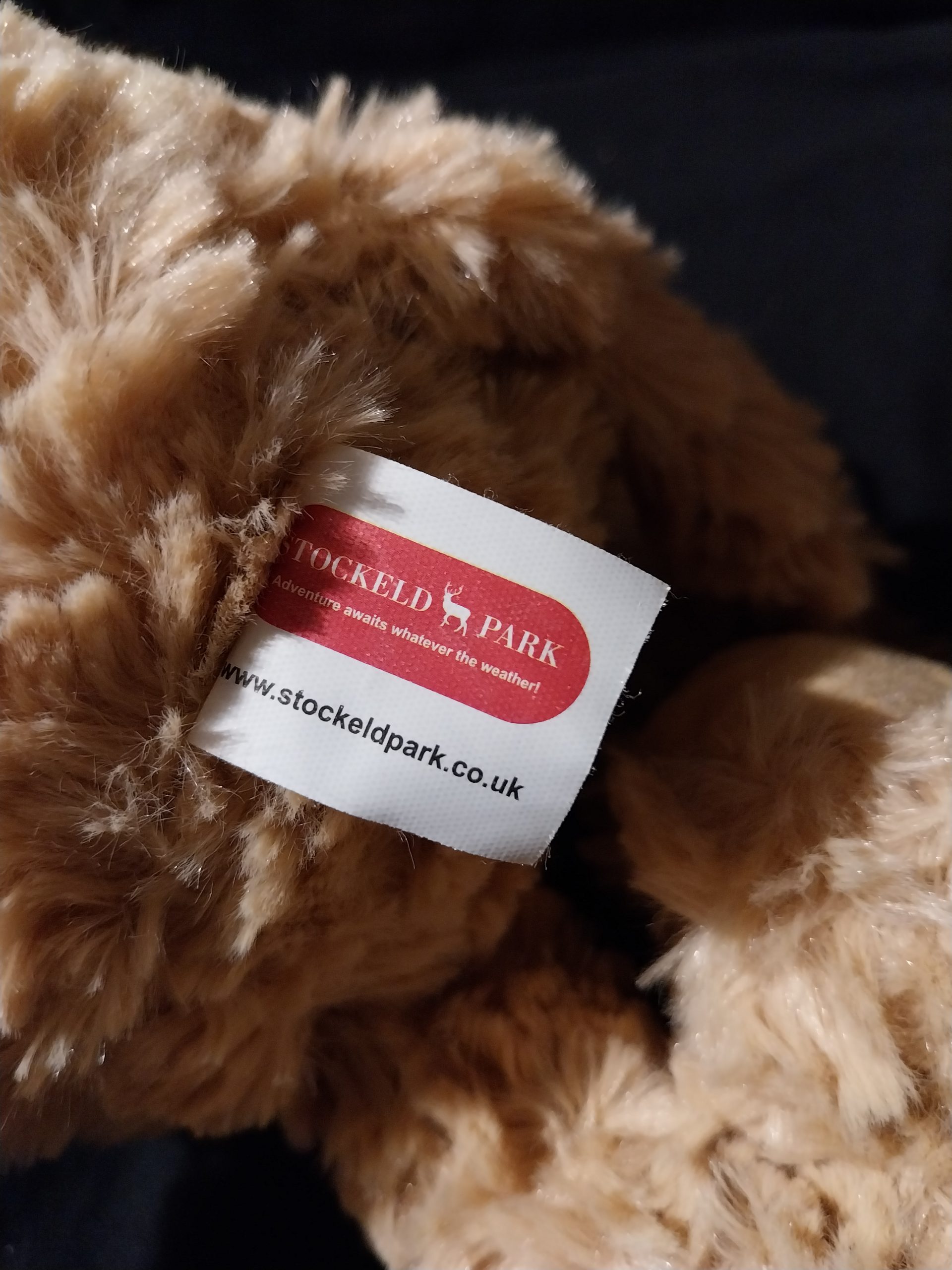 Dangle Bear - Image 4