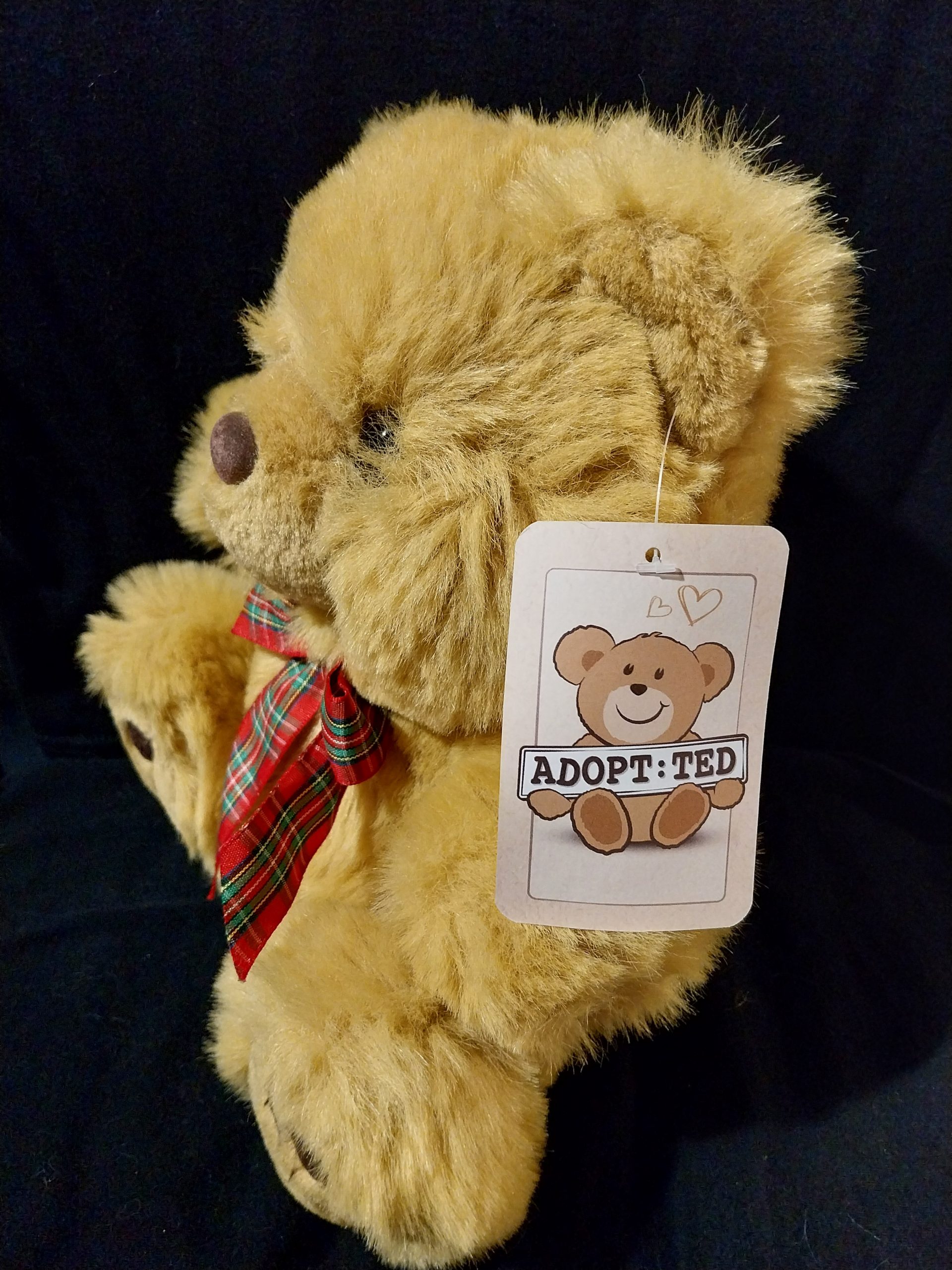 Fluffy Ball Teddy Bear - Image 3