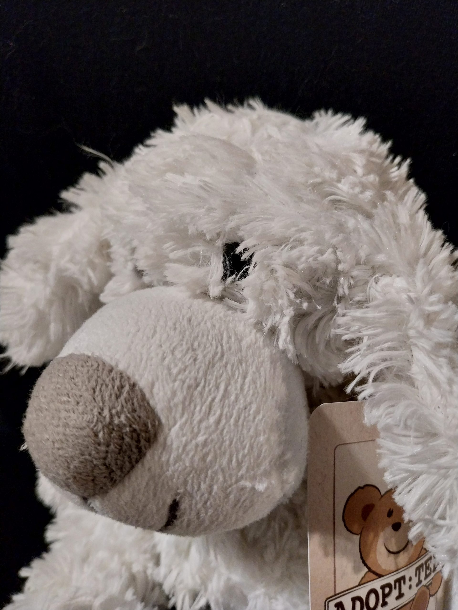 The Cutest Puppy - Image 2