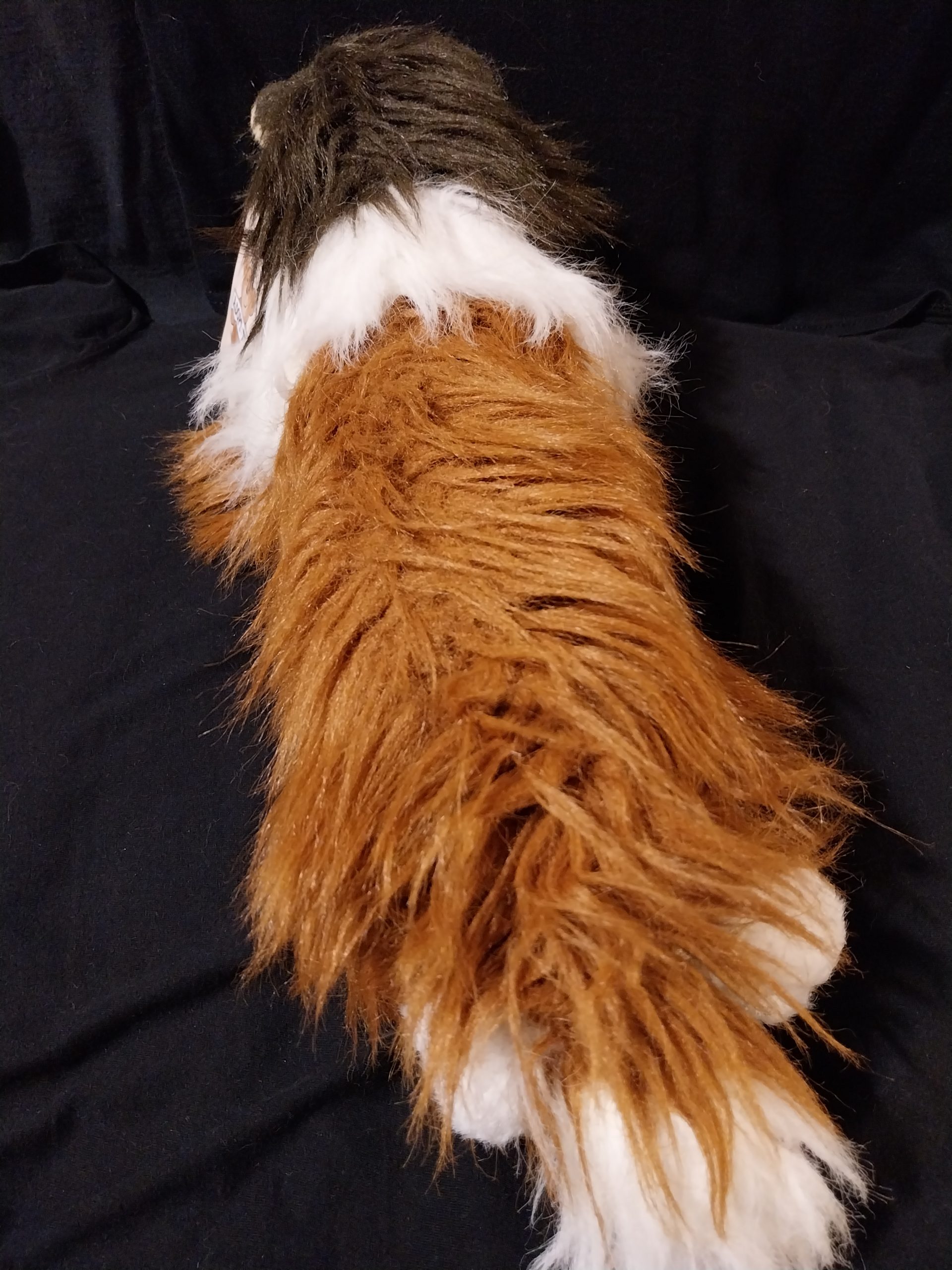 Lazy Collie Dog - Image 3