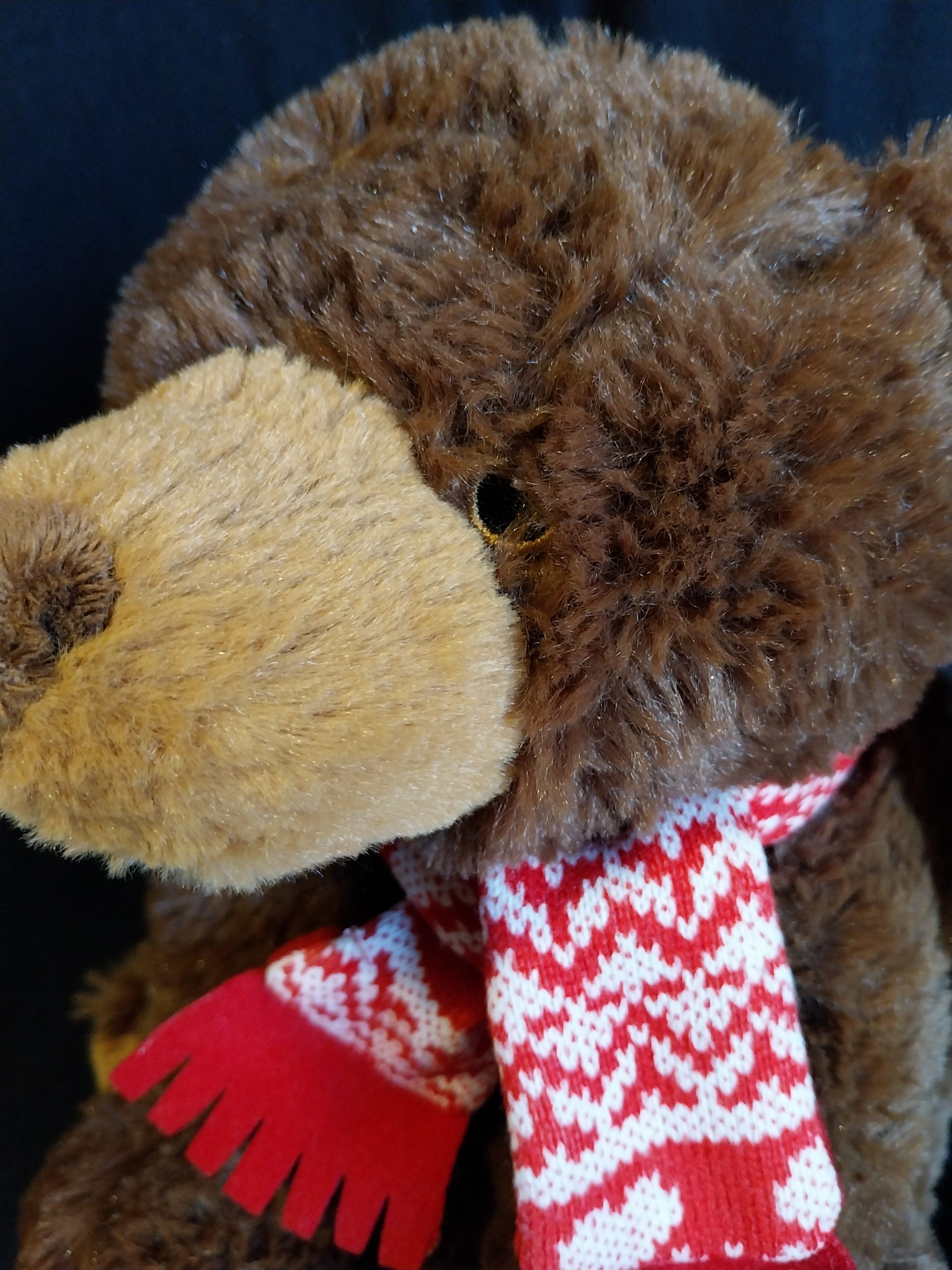 Not Grizzly Bear - Image 2