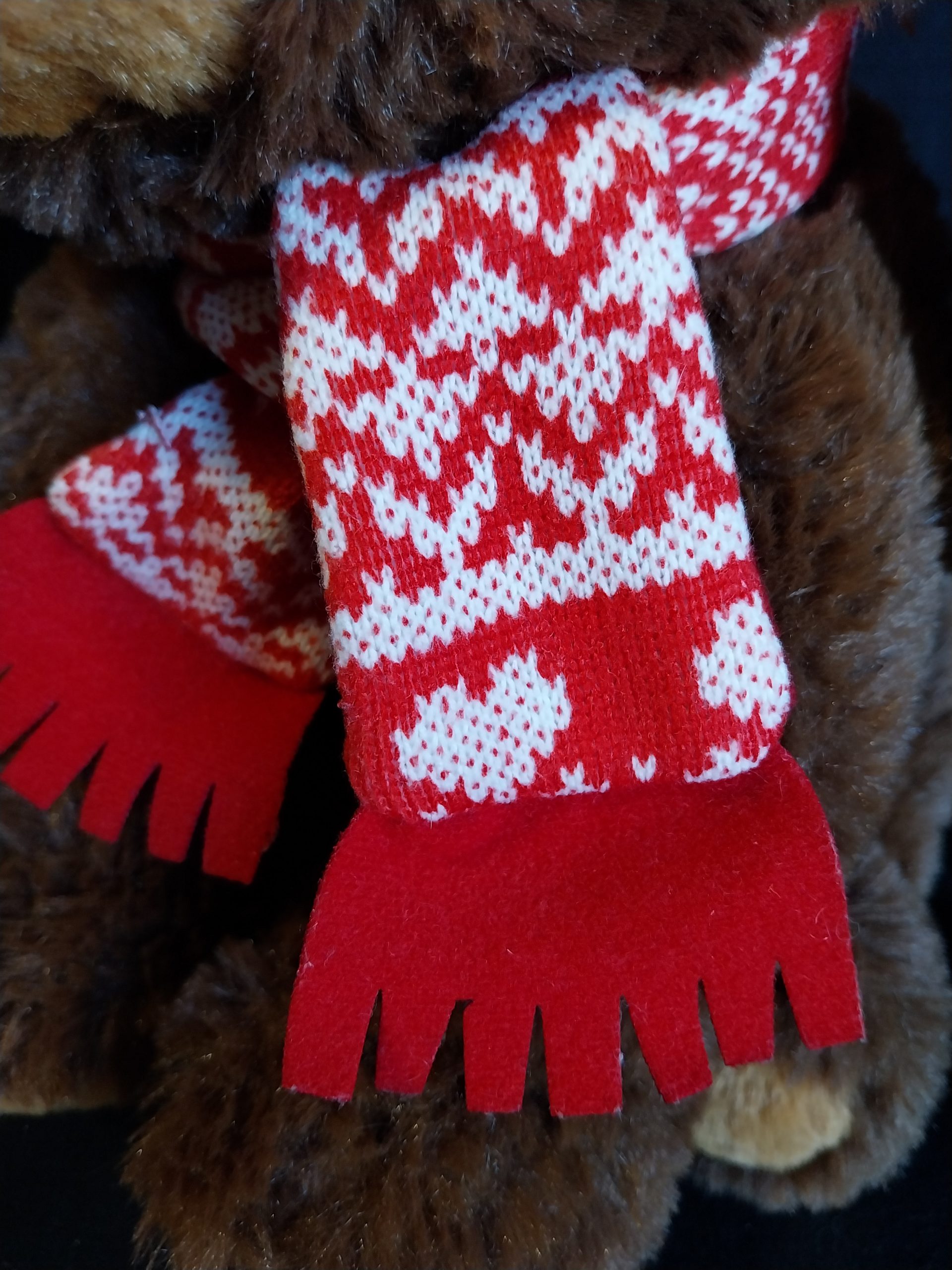 Not Grizzly Bear - Image 3