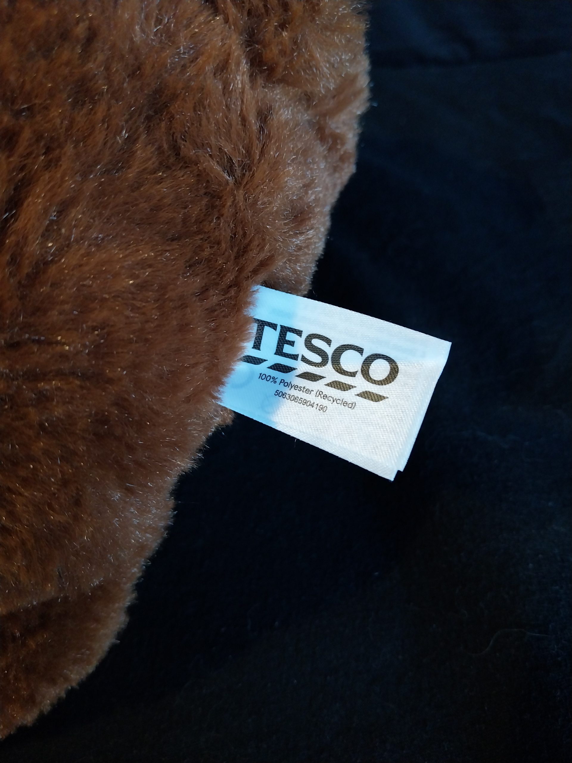 Not Grizzly Bear - Image 5