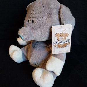 Blue-Nosed Grey Piggy