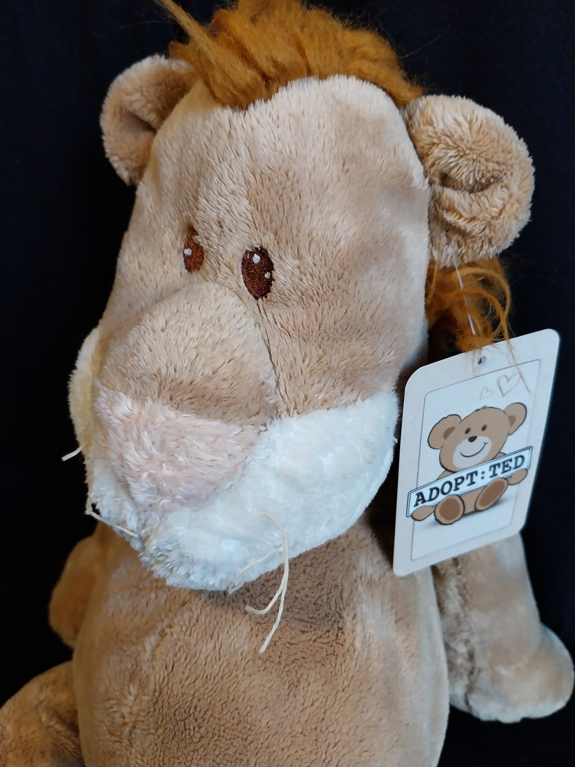 Large Floppy Lion - Image 2