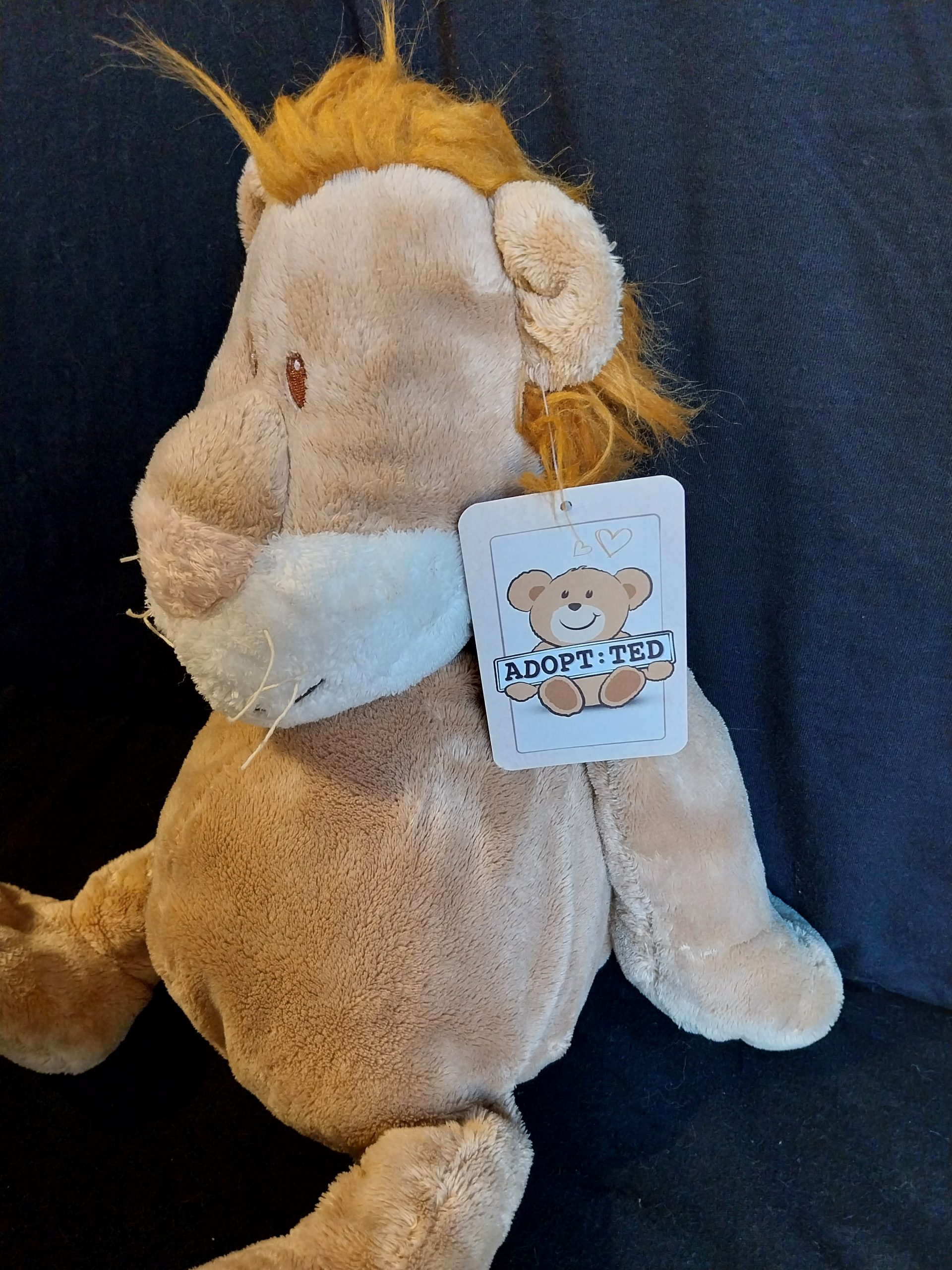 Large Floppy Lion - Image 3