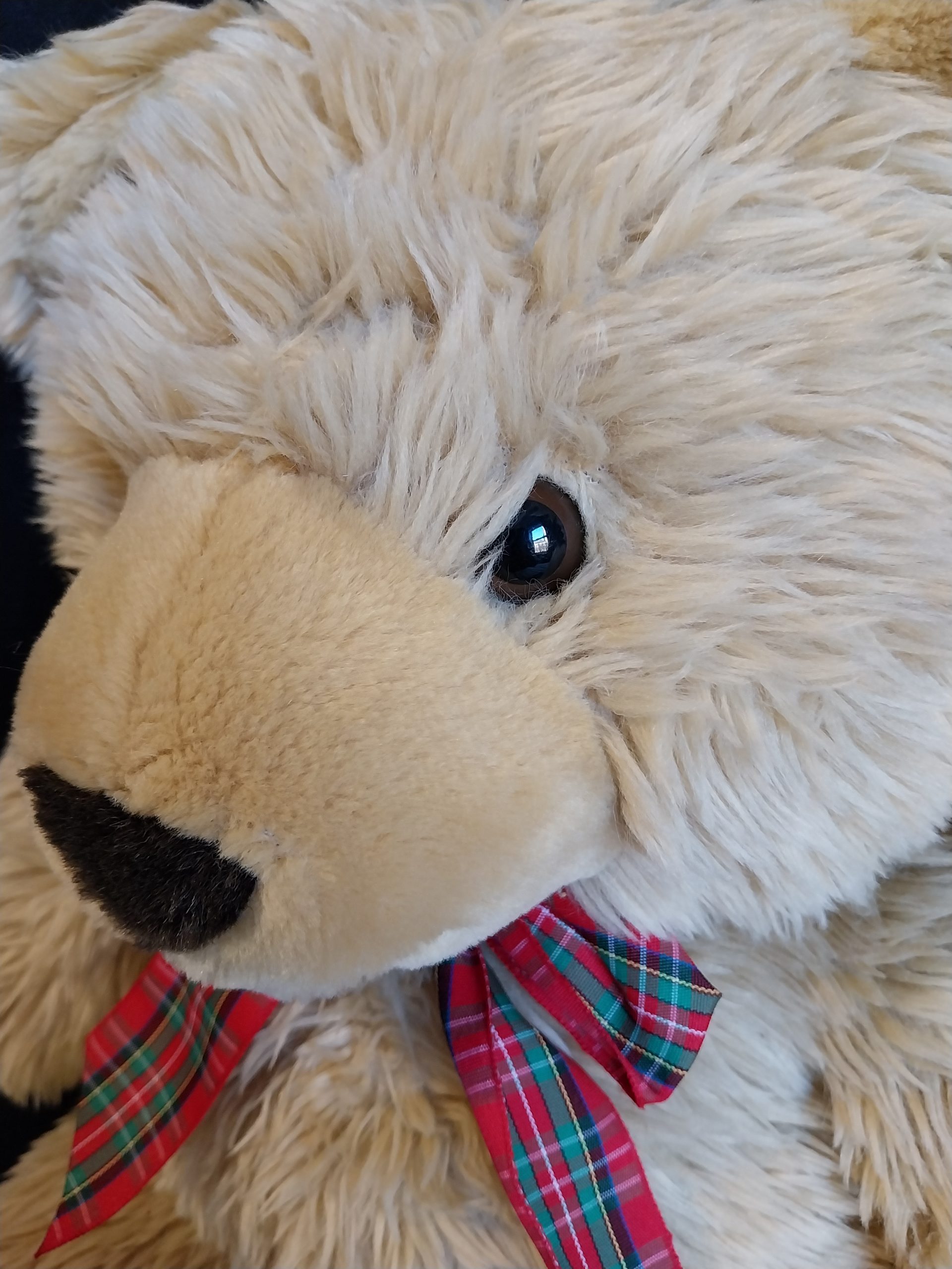 Large Cuddle Bear - Image 2