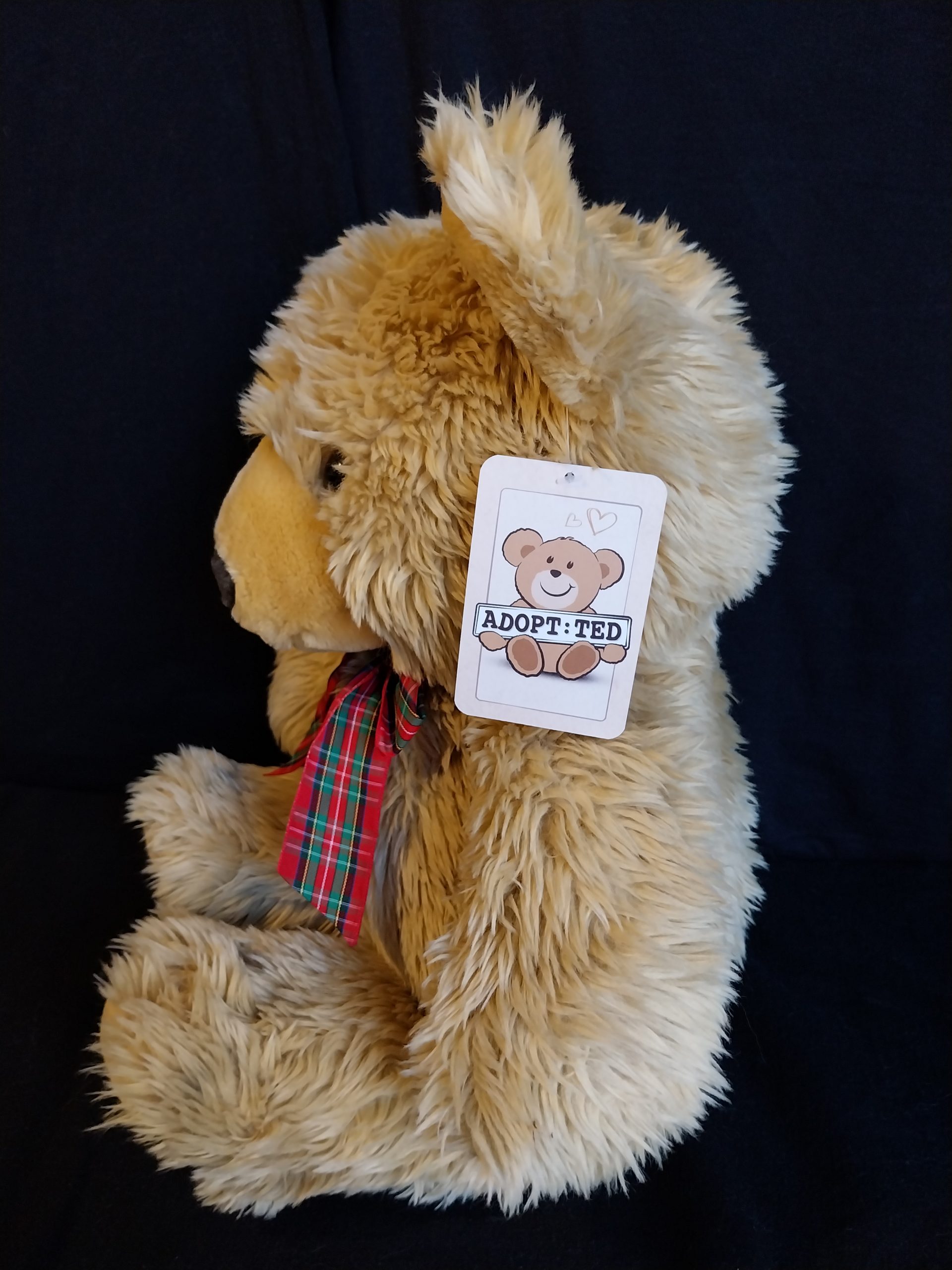 Large Cuddle Bear - Image 4