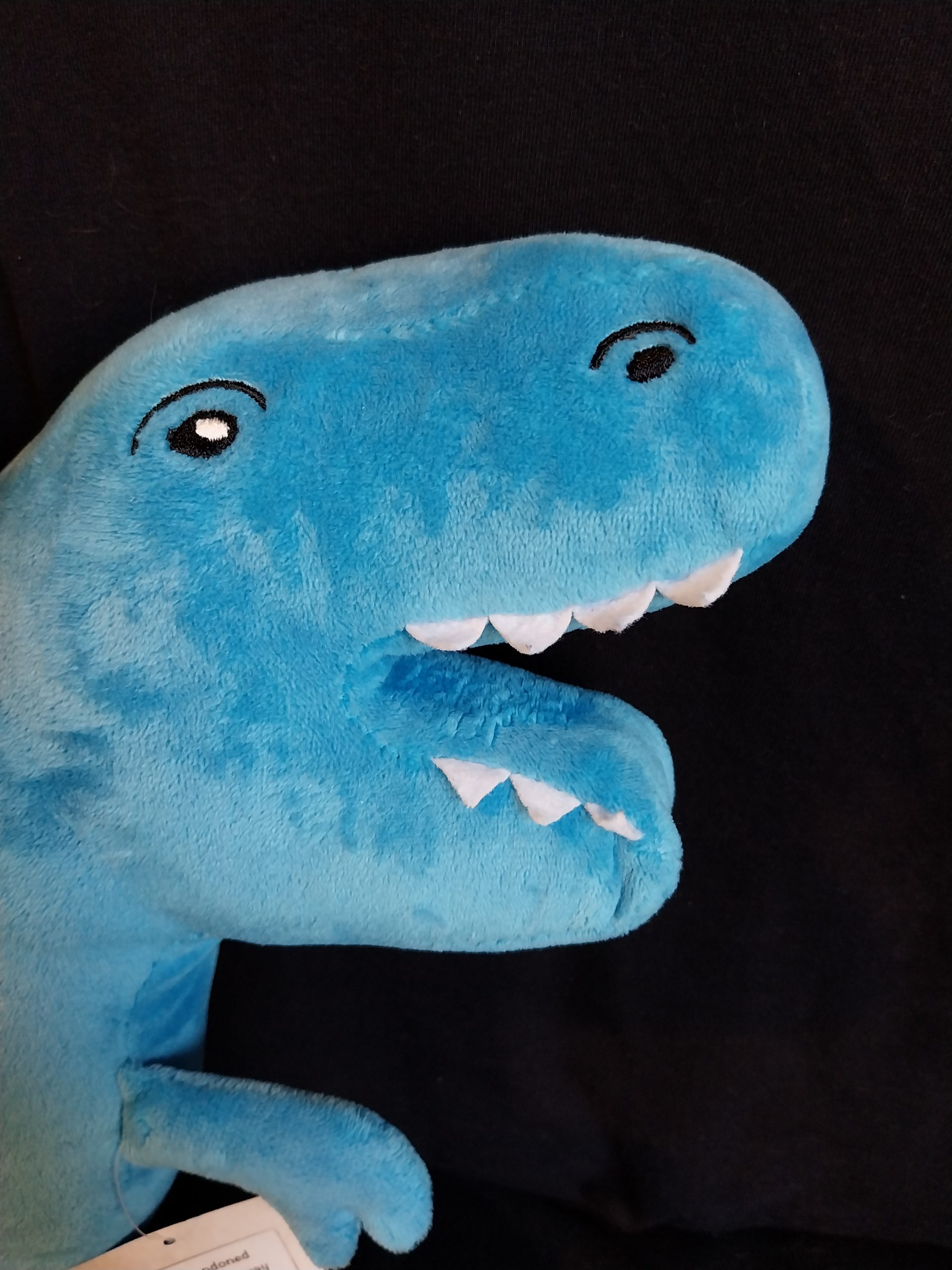 Flat T-Rex - Image 2