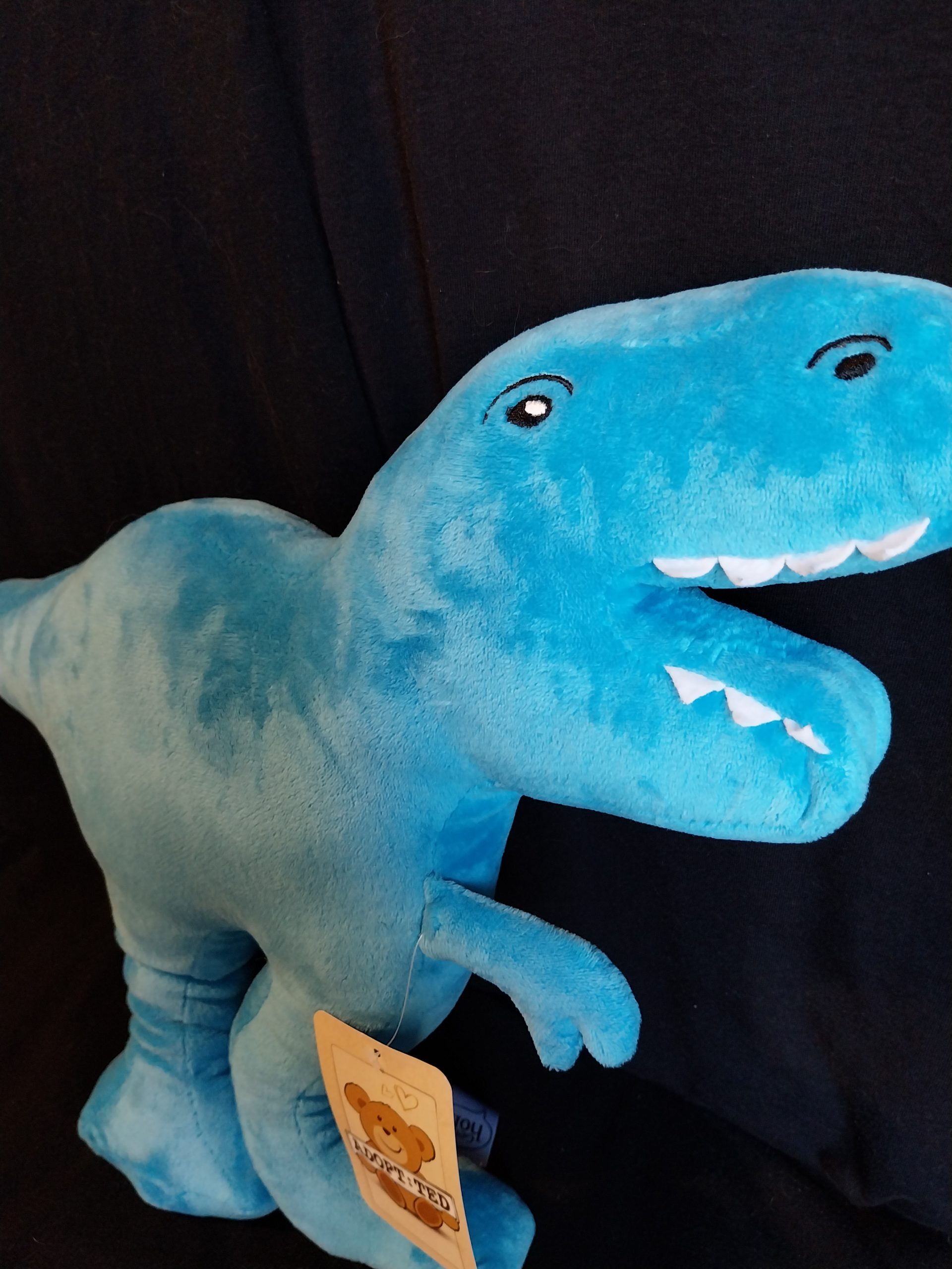 Flat T-Rex - Image 3