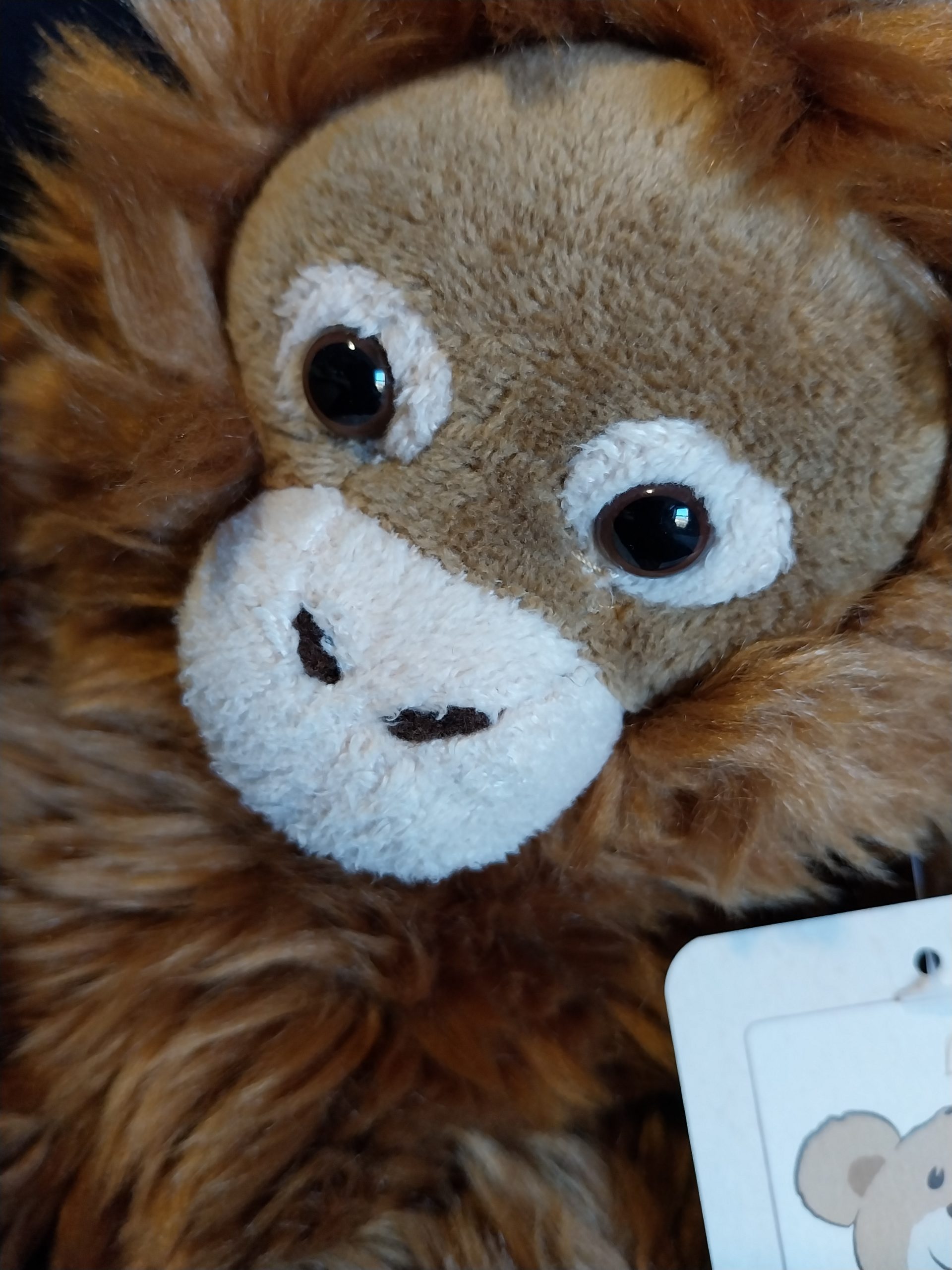 Sleepy Orang Utan - Image 2