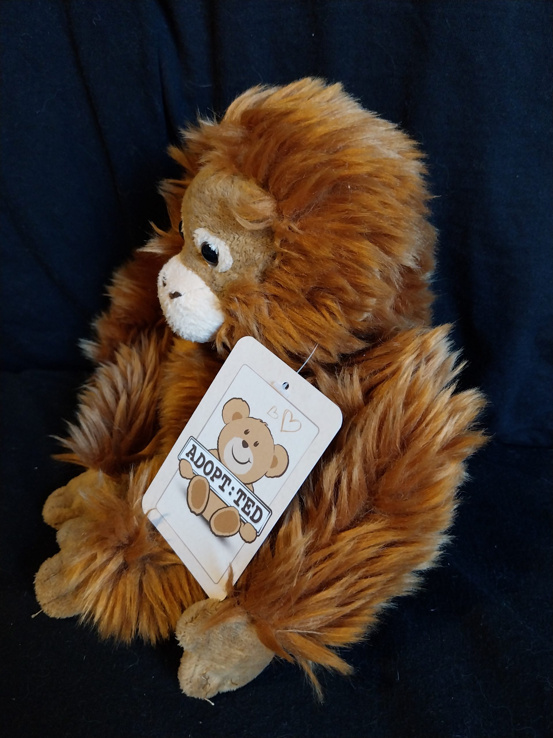 Sleepy Orang Utan - Image 3