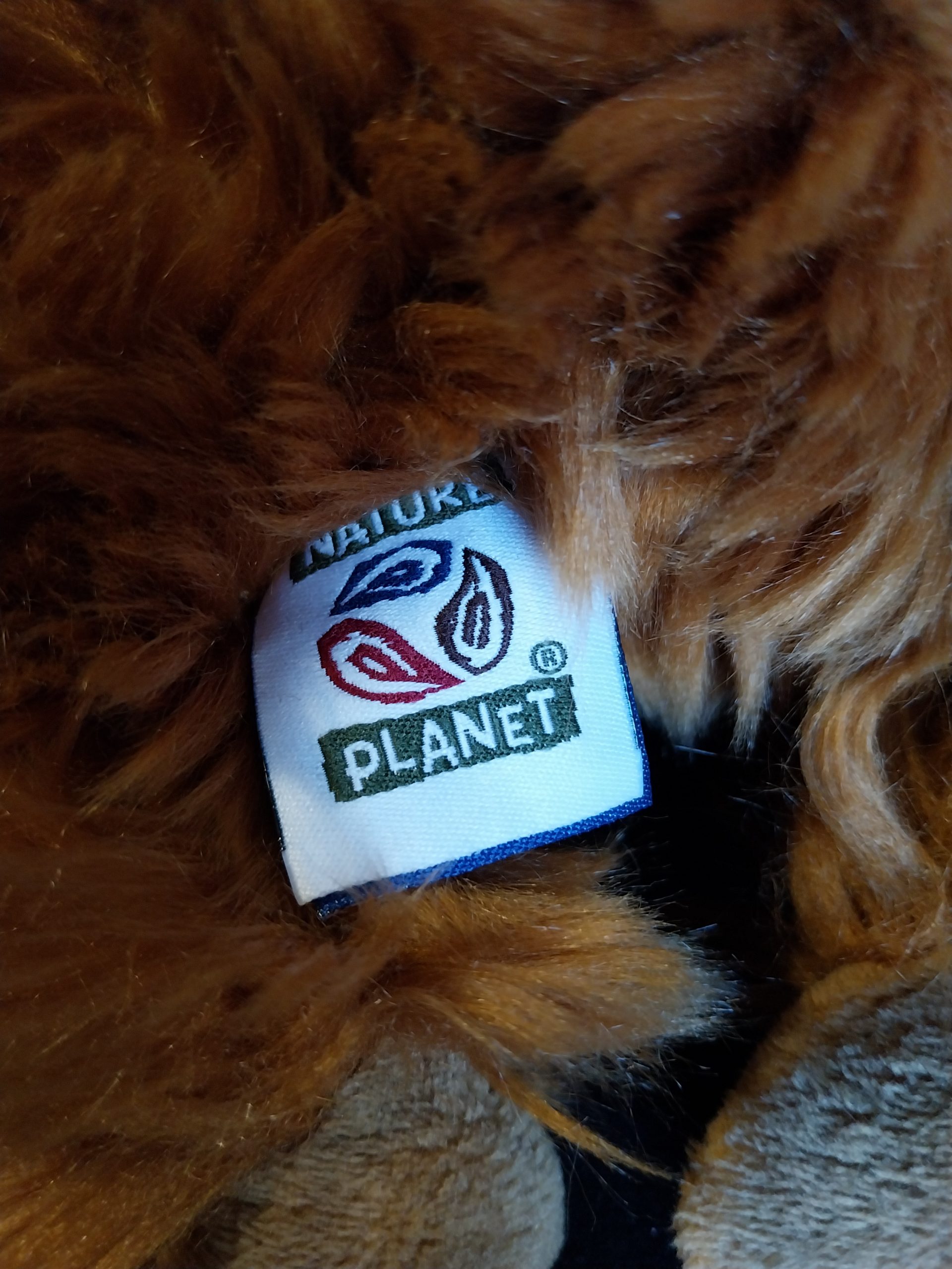 Sleepy Orang Utan - Image 4