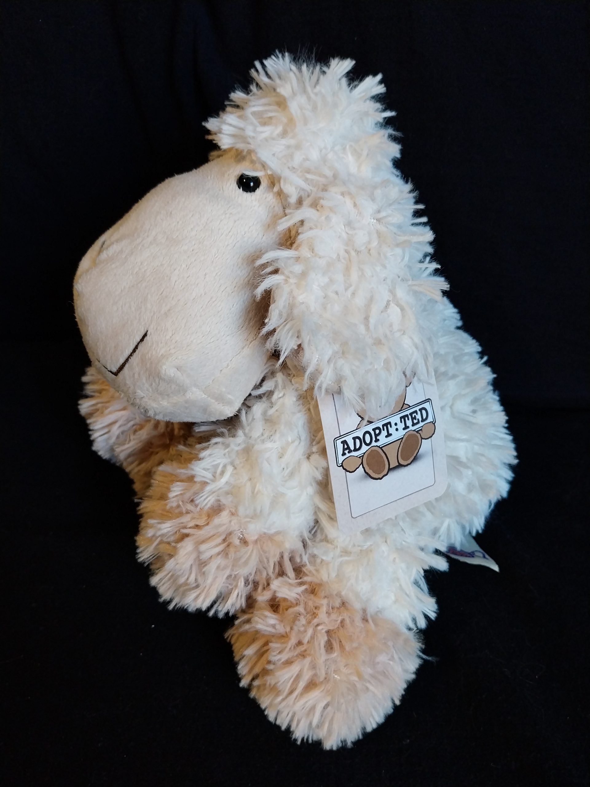 Happy Lamb - Image 2