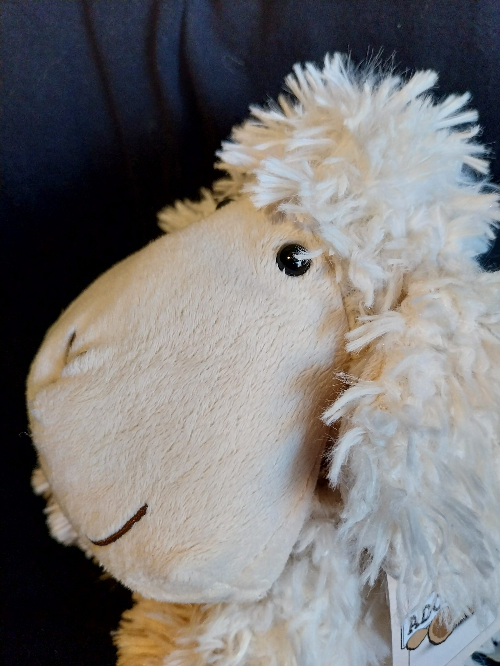 Happy Lamb - Image 3