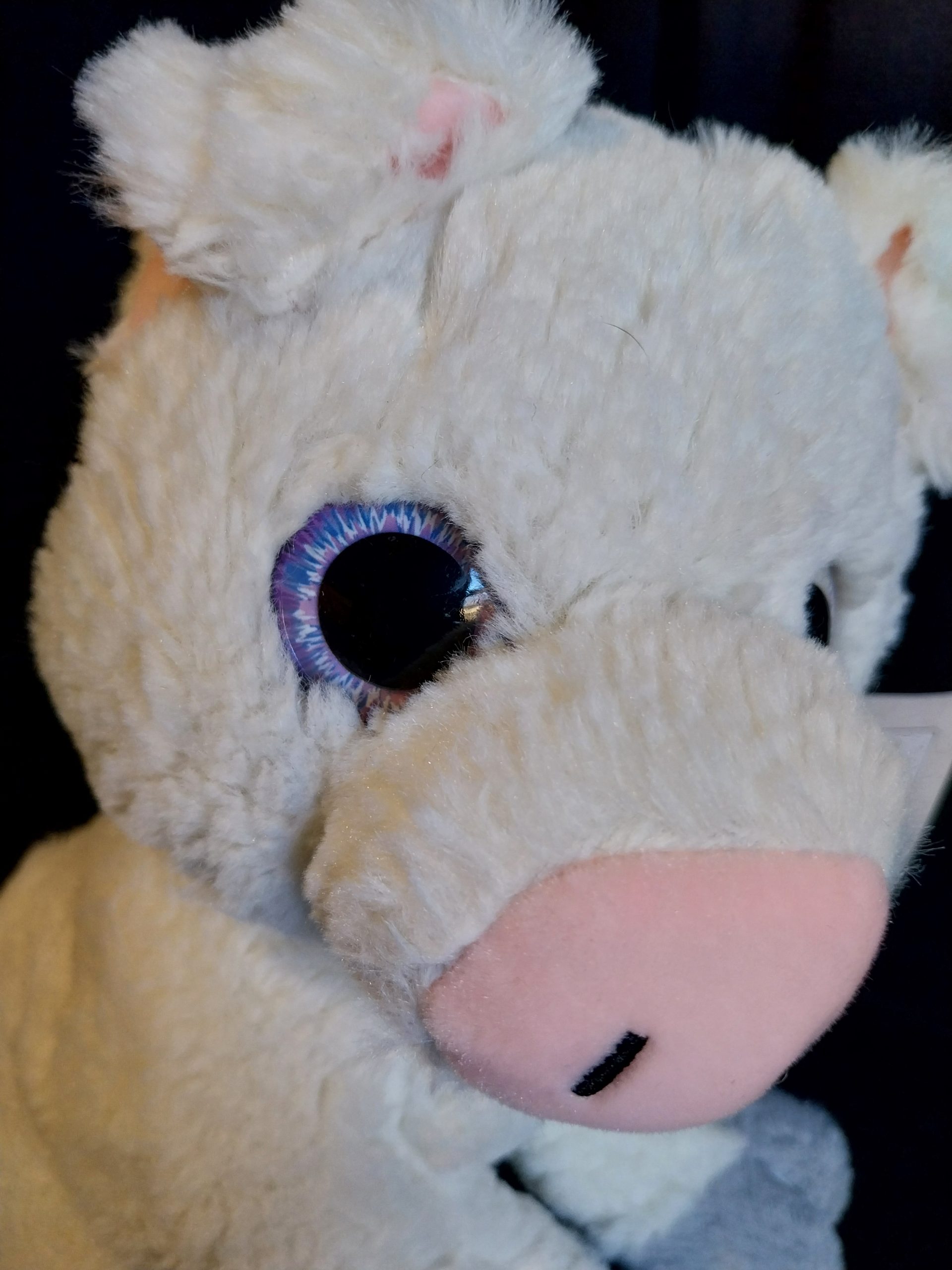 Big-Eyed Piglet - Image 2