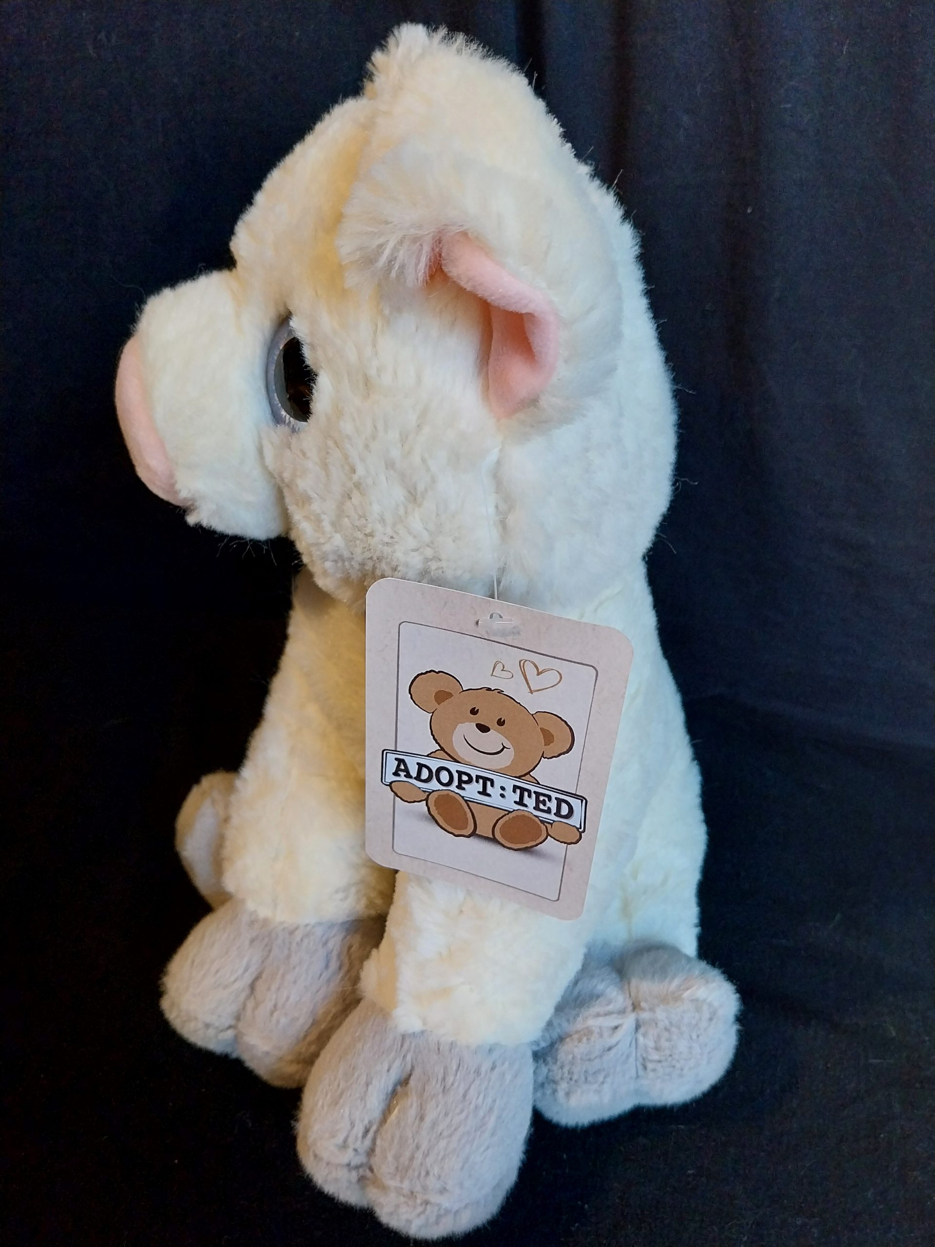 Big-Eyed Piglet - Image 3