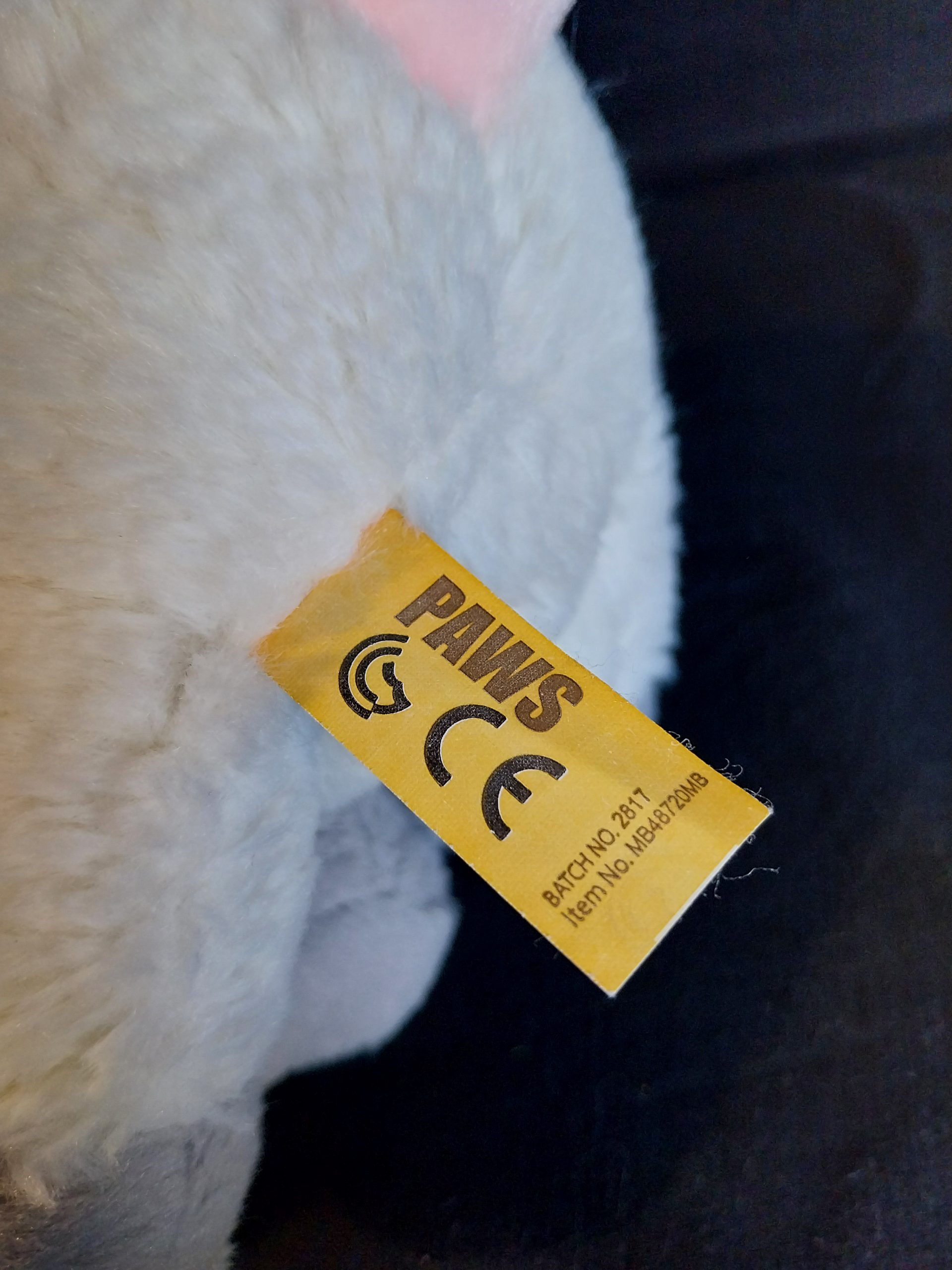 Big-Eyed Piglet - Image 4