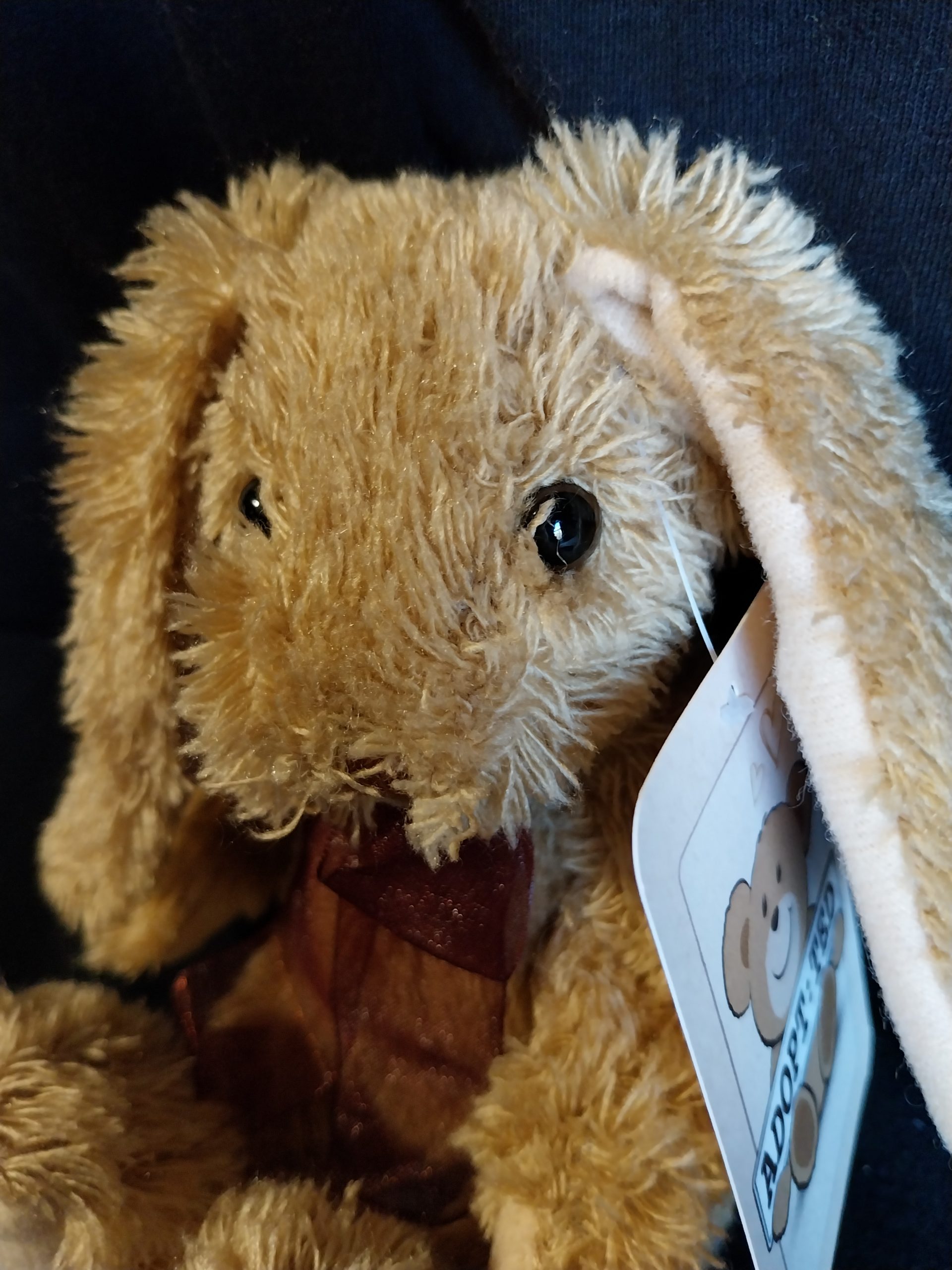 Traditional Stuffed Rabbit - Image 2