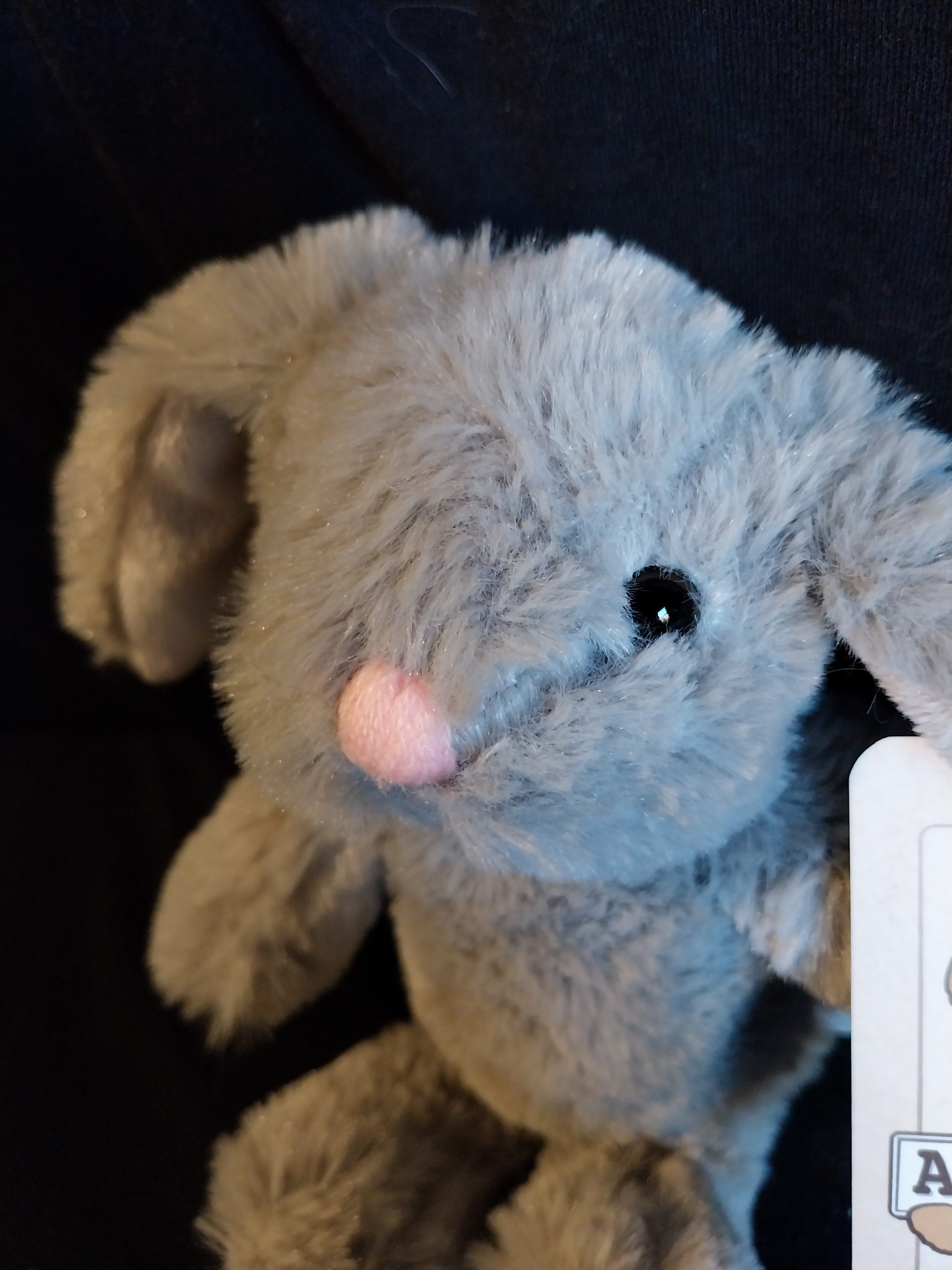 Mini Bunny Rabbit - Image 2