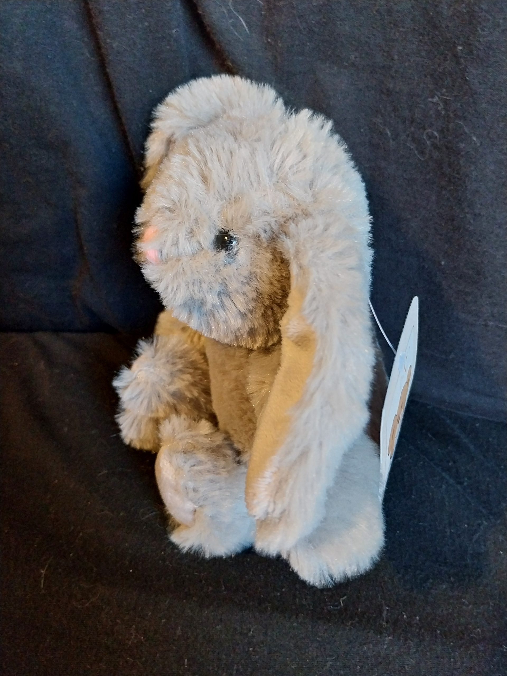 Mini Bunny Rabbit - Image 3
