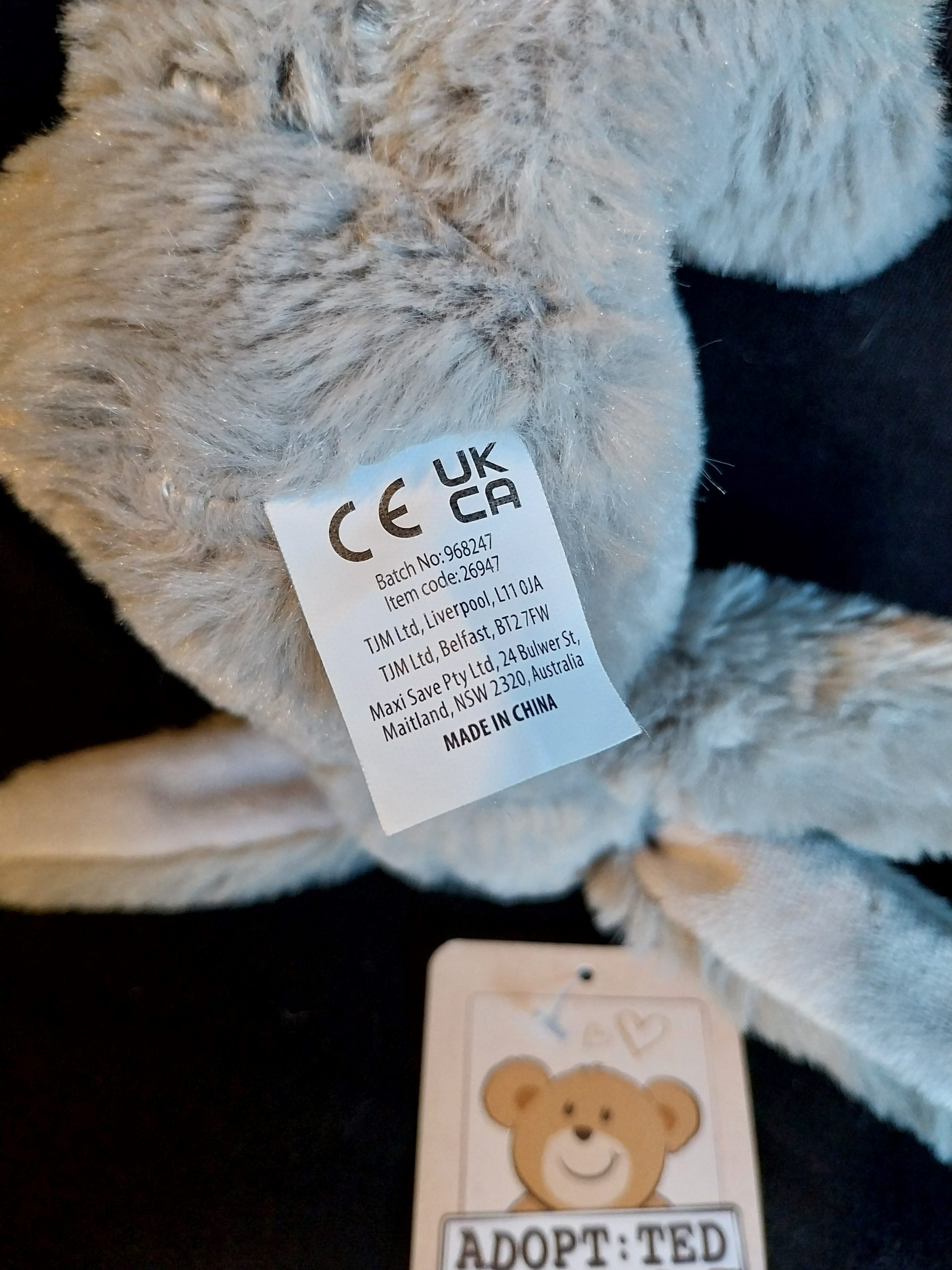 Mini Bunny Rabbit - Image 4